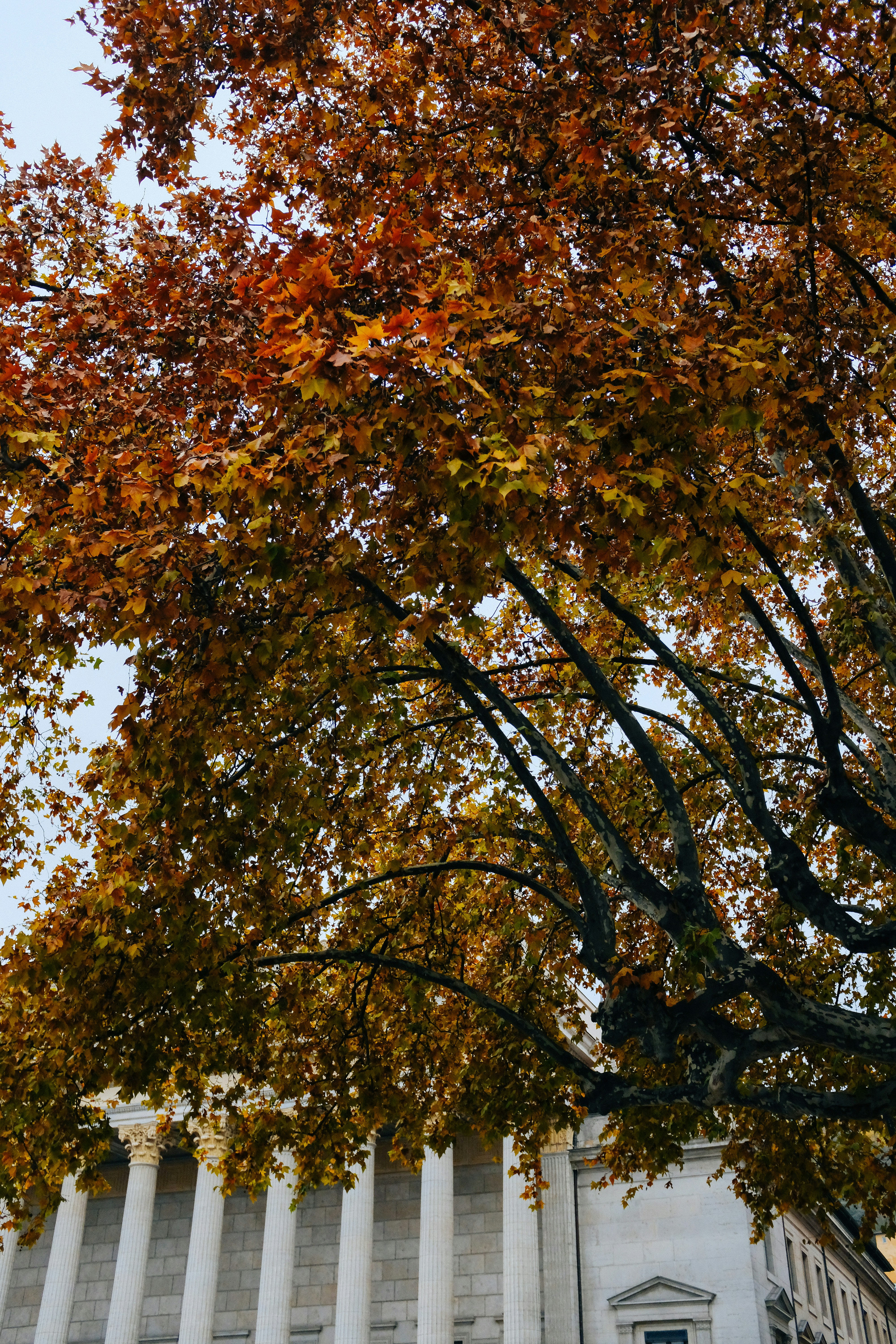 Photo by adrienolichon