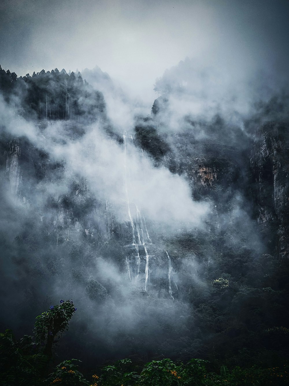 a mountain covered in fog with trees on the side