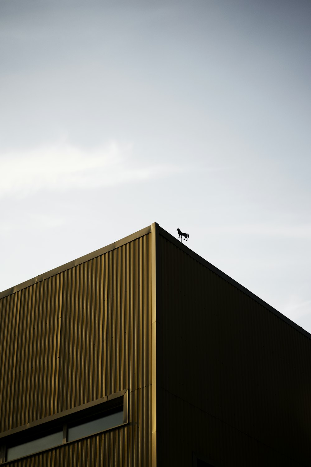 a bird is sitting on top of a building