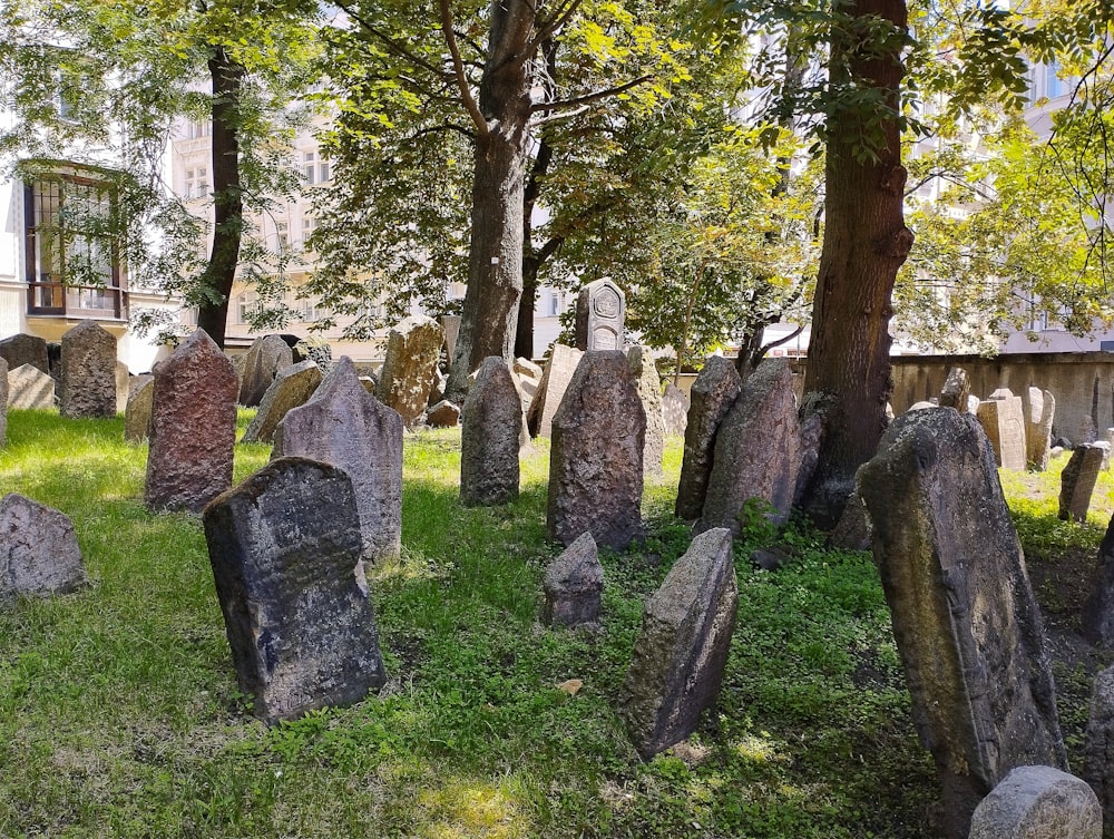 a cemetery with headstones and trees in the background