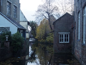 Aerial view of a quiet canal winding through a historic town, framed by autumn trees.
