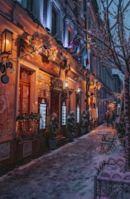 a snowy street lined with buildings and trees