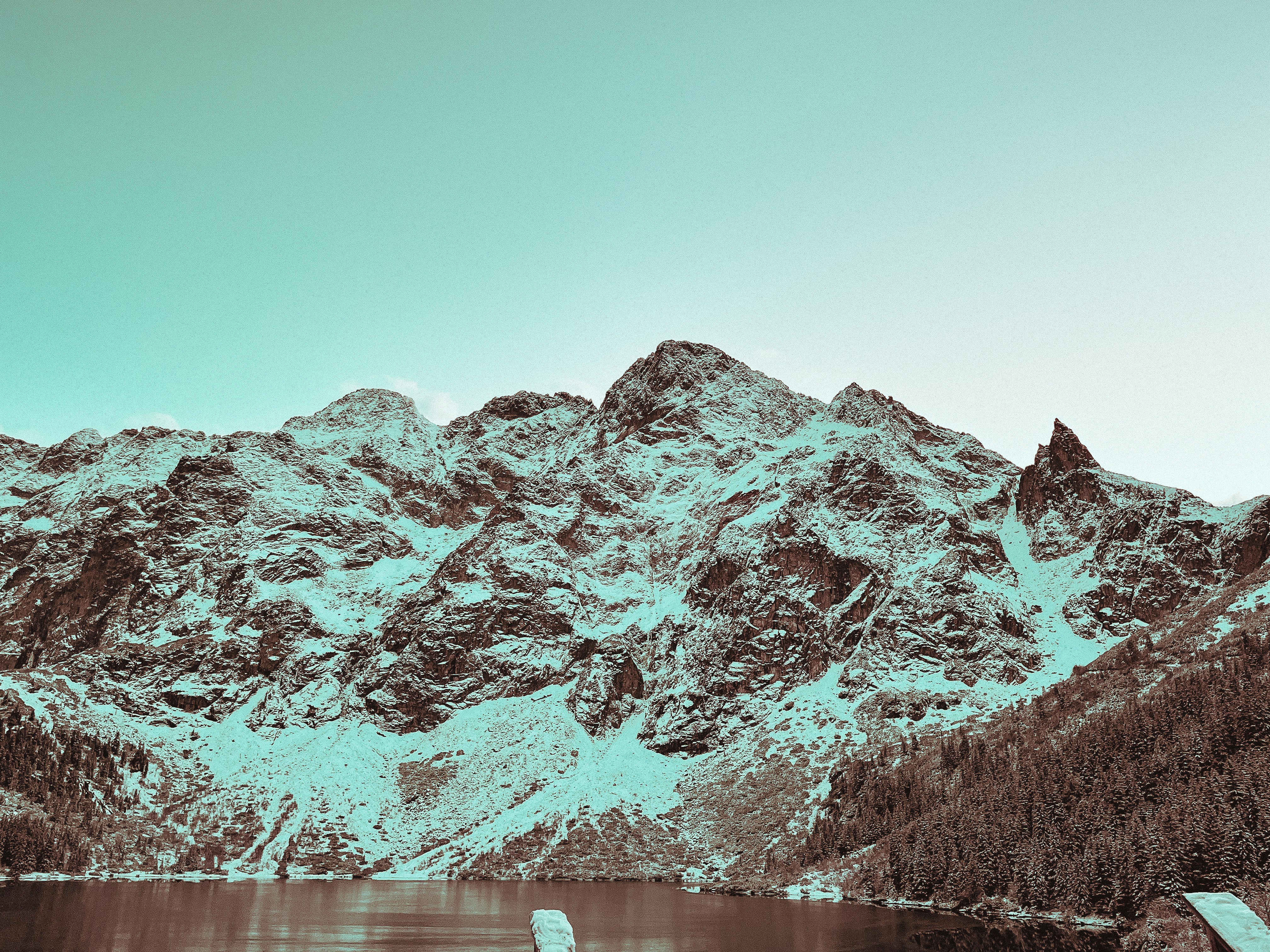 Photo by wurmigerwilli