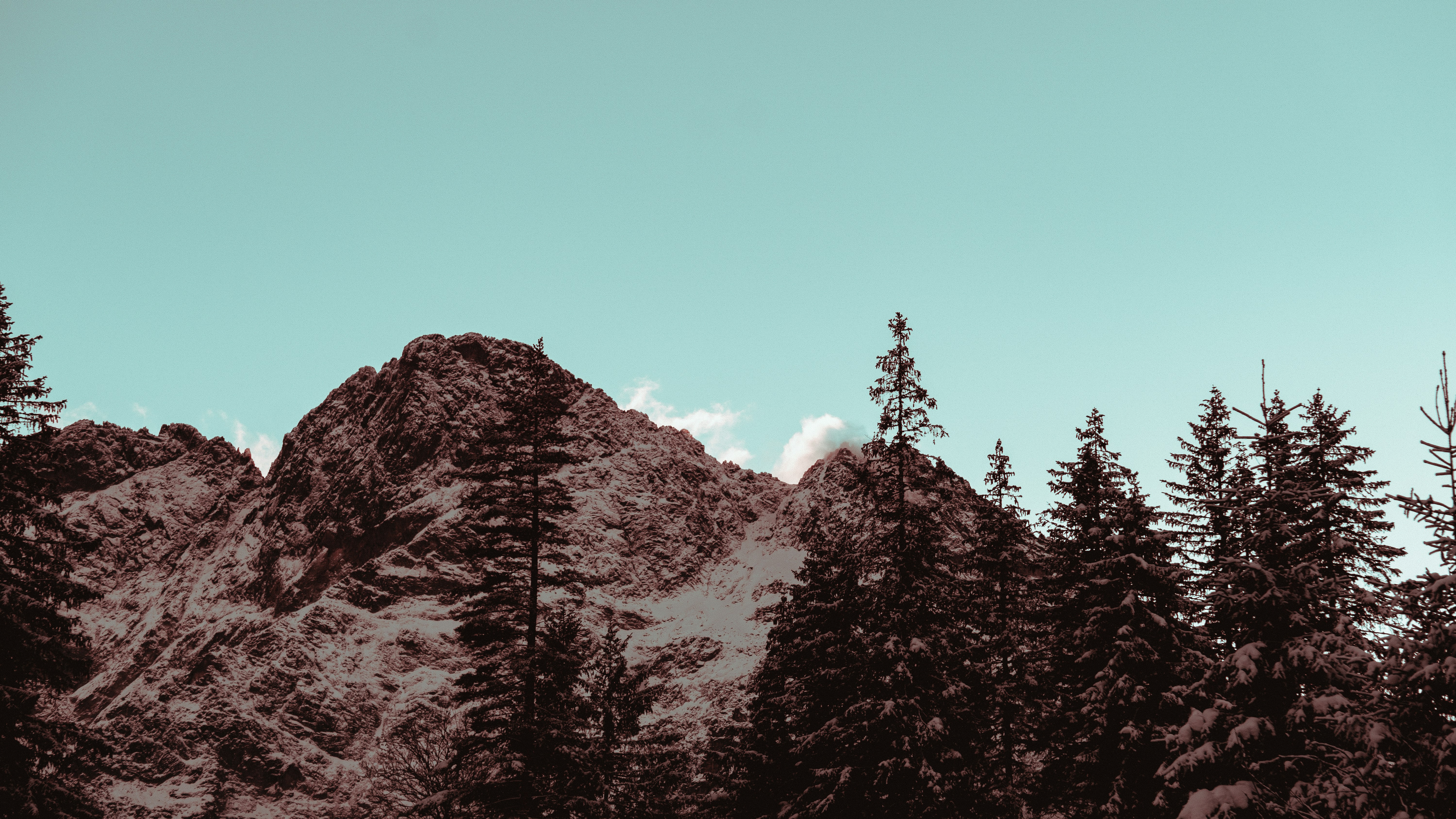 Photo by wurmigerwilli