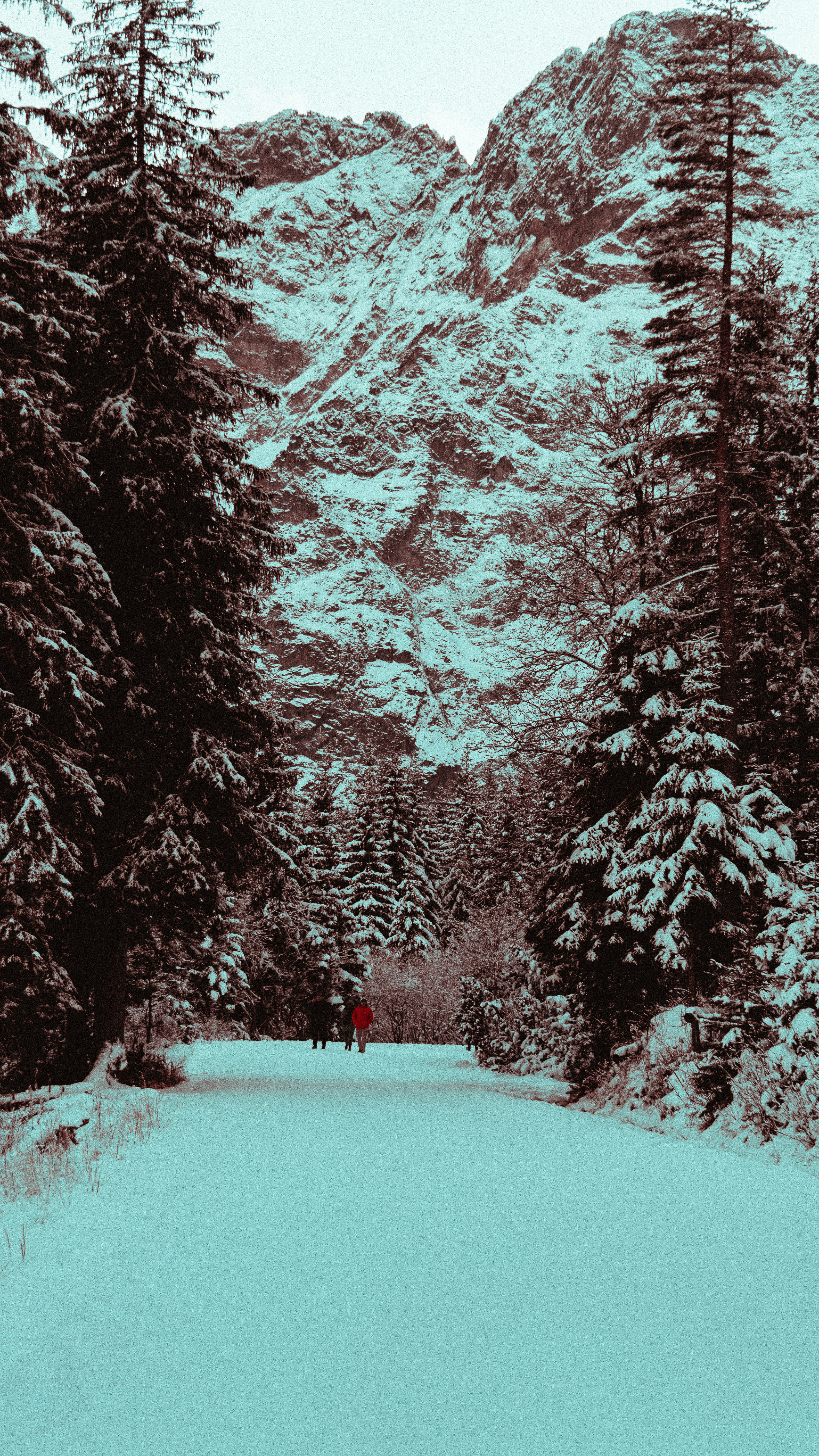 Photo by wurmigerwilli