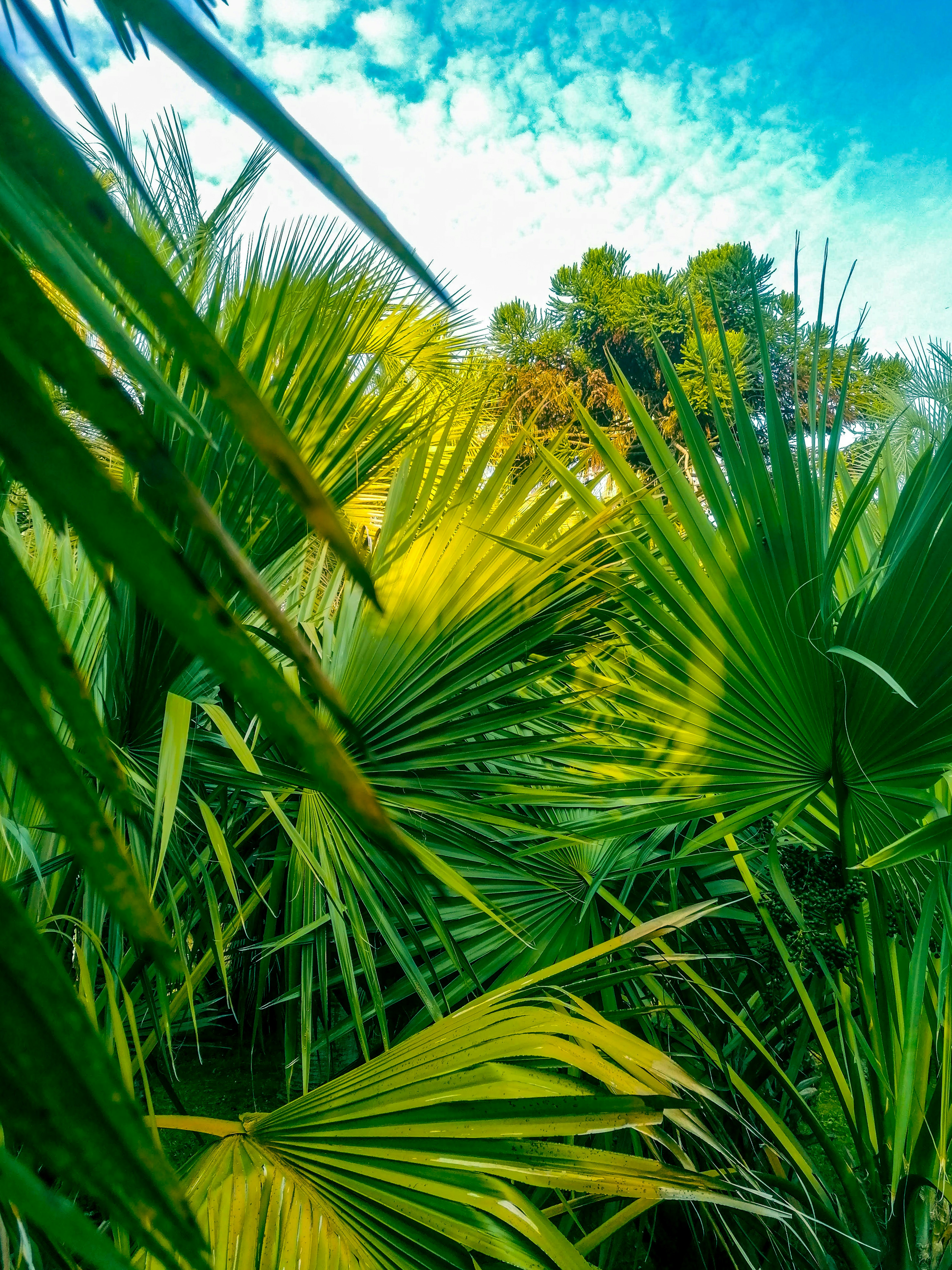 Photo by mariamaximova