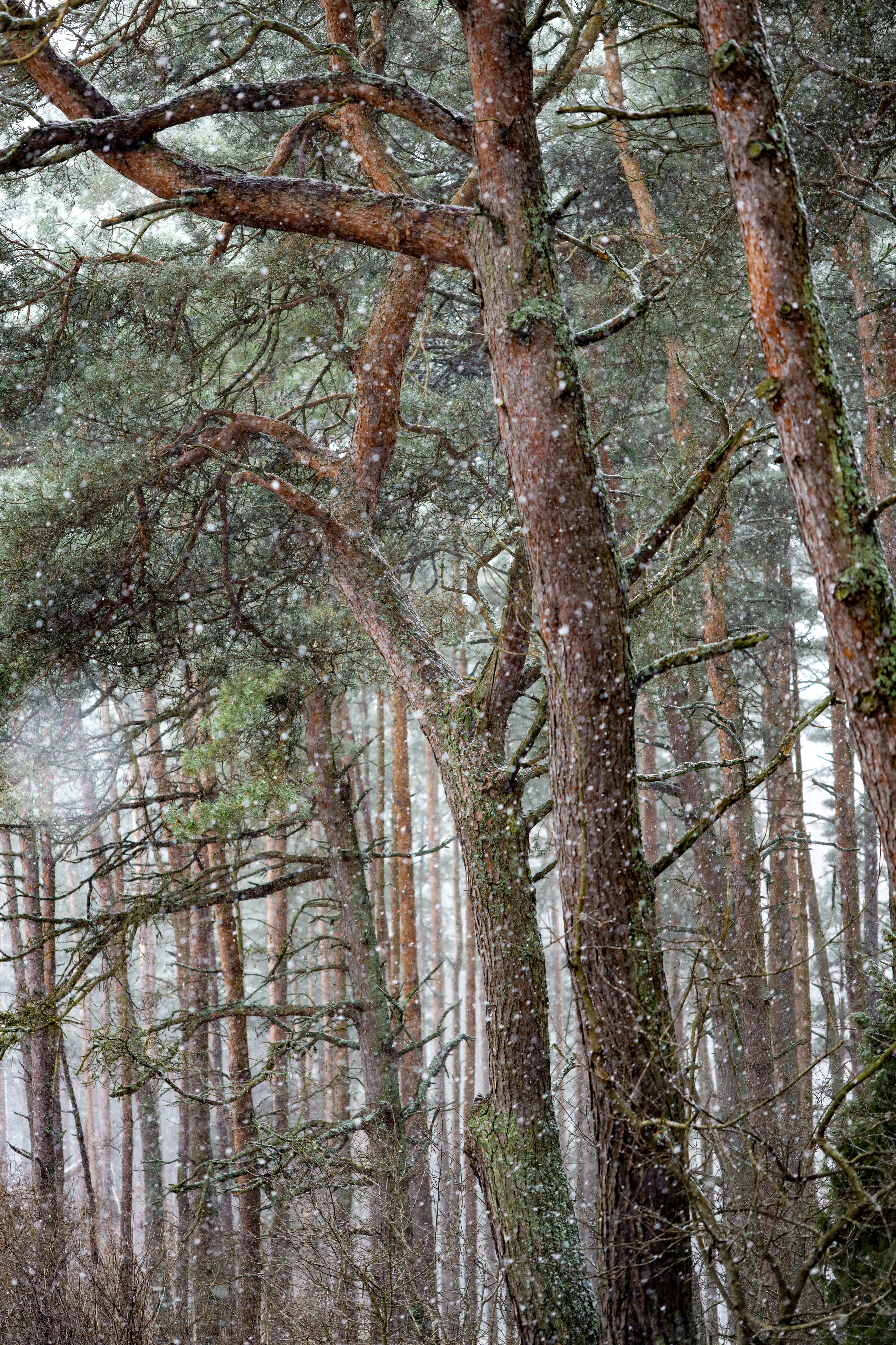 Photo by anastasia_clark