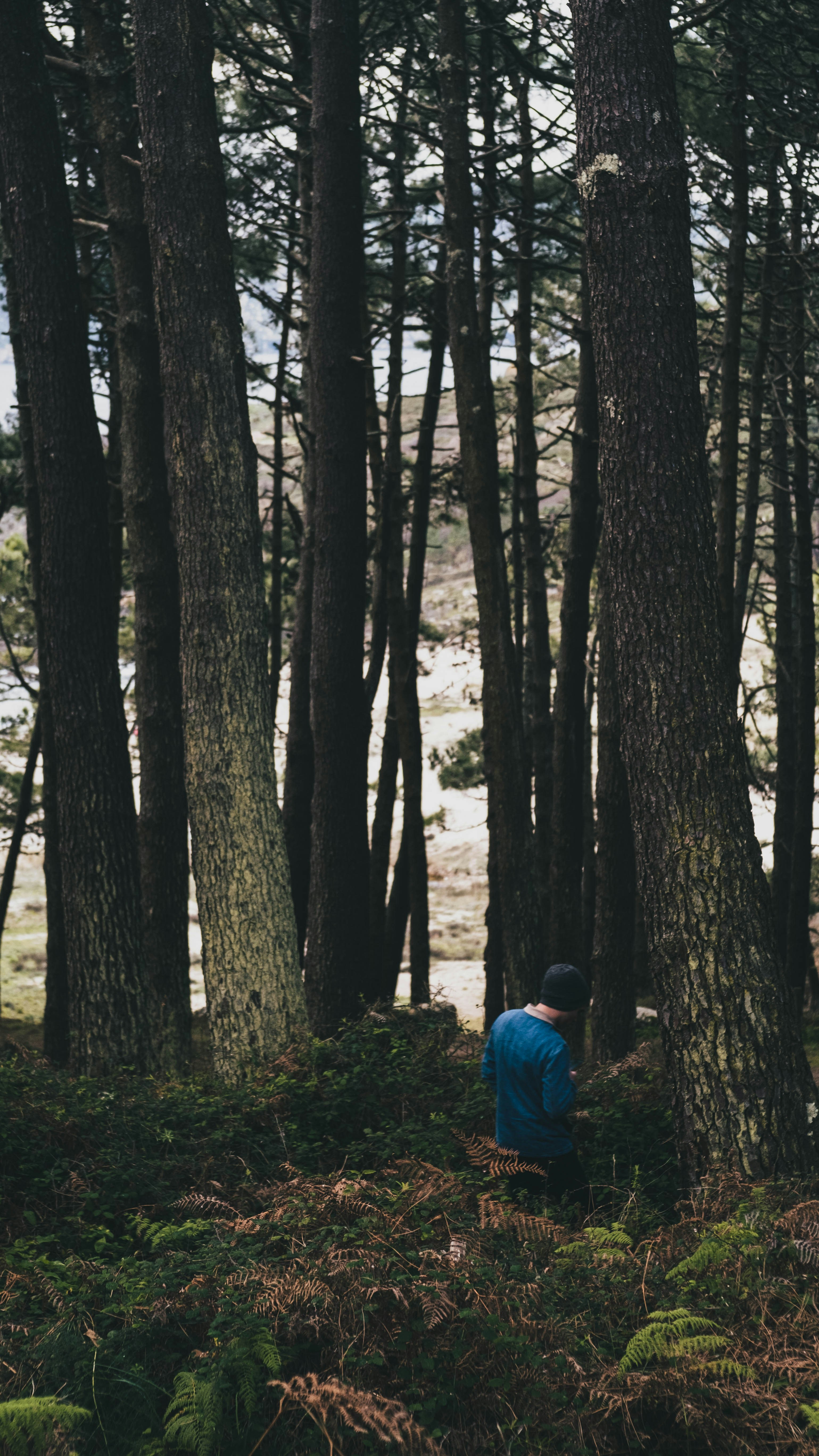 Photo by projekt_north