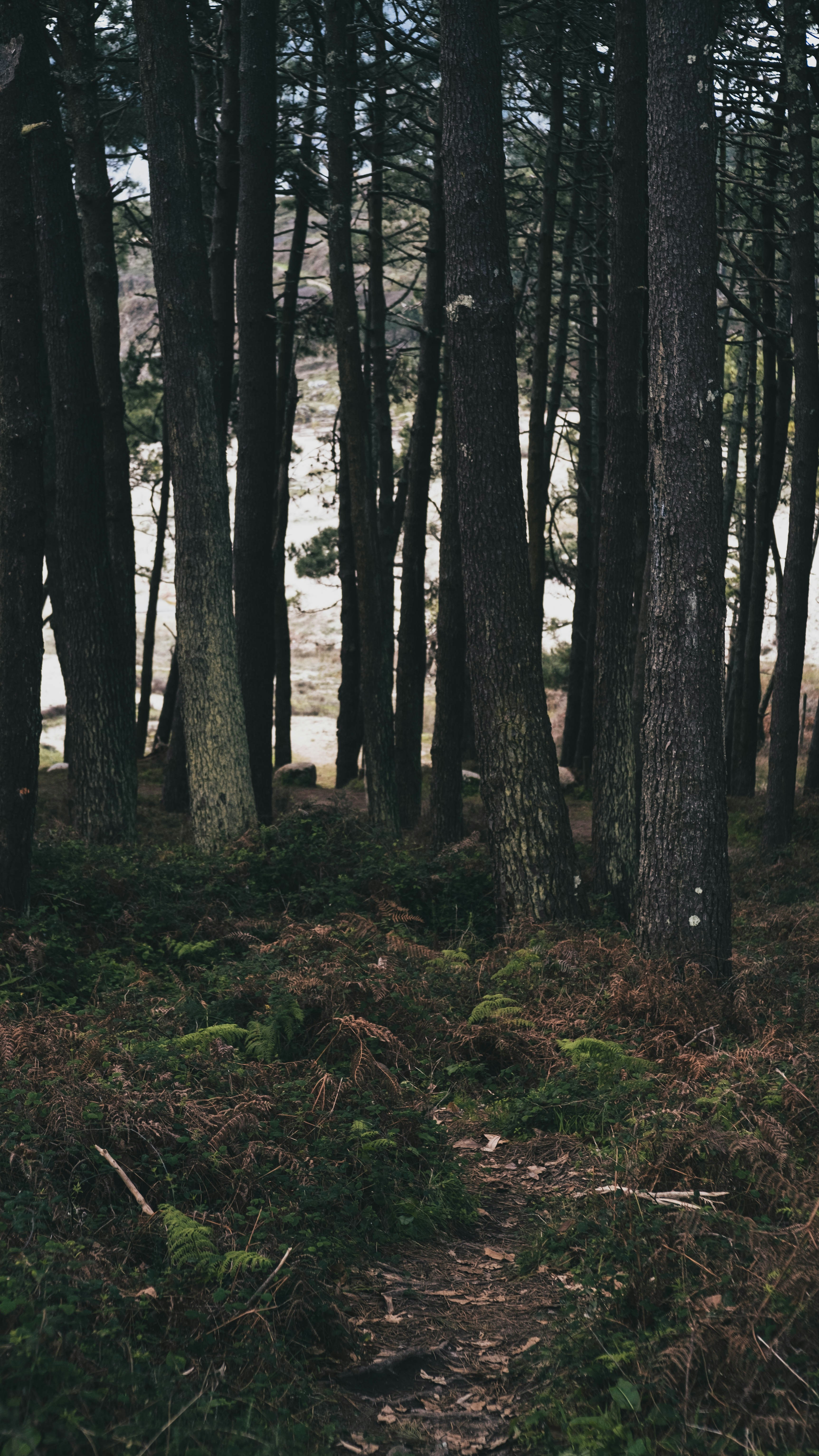 Photo by projekt_north