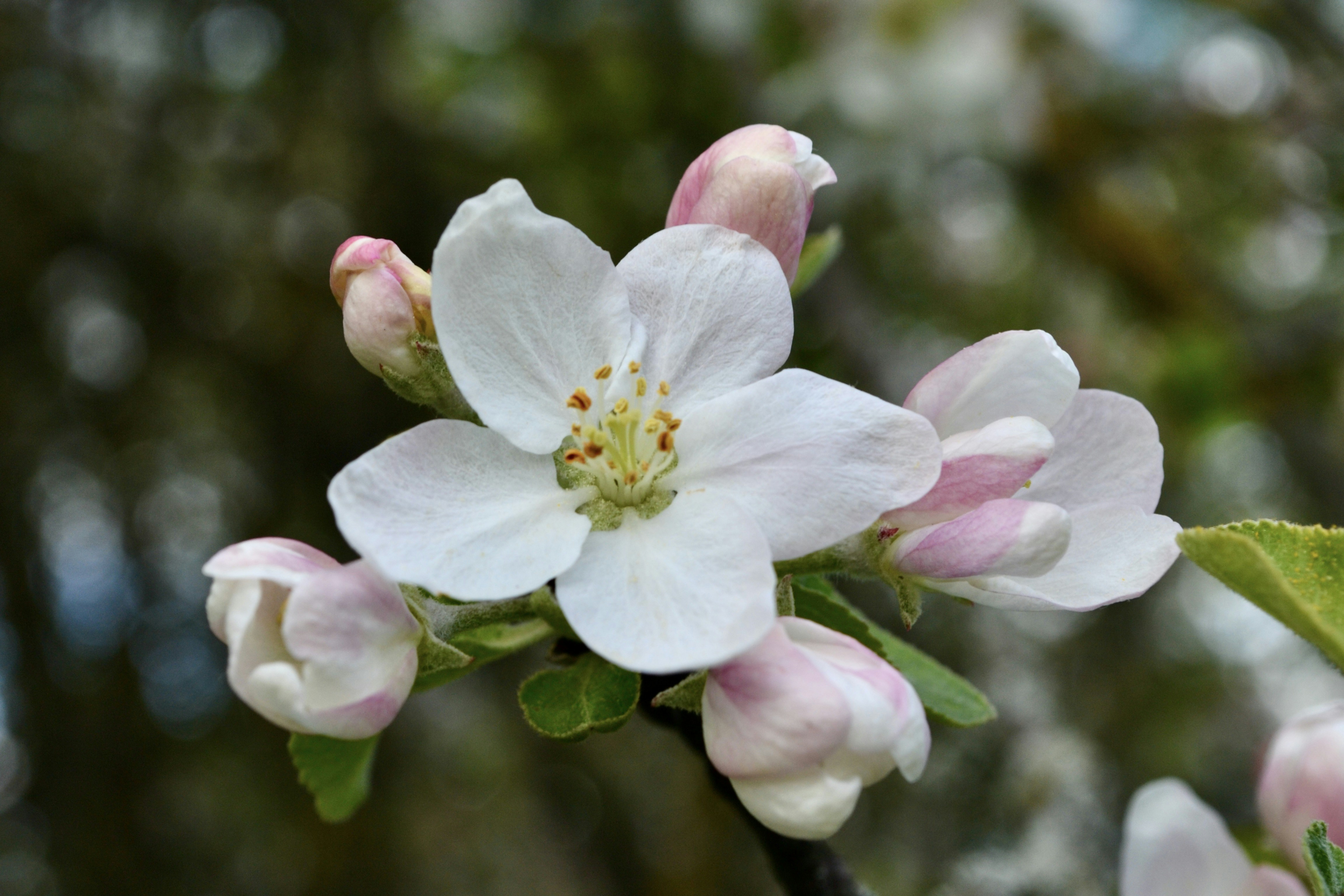 Photo by evgenslavin