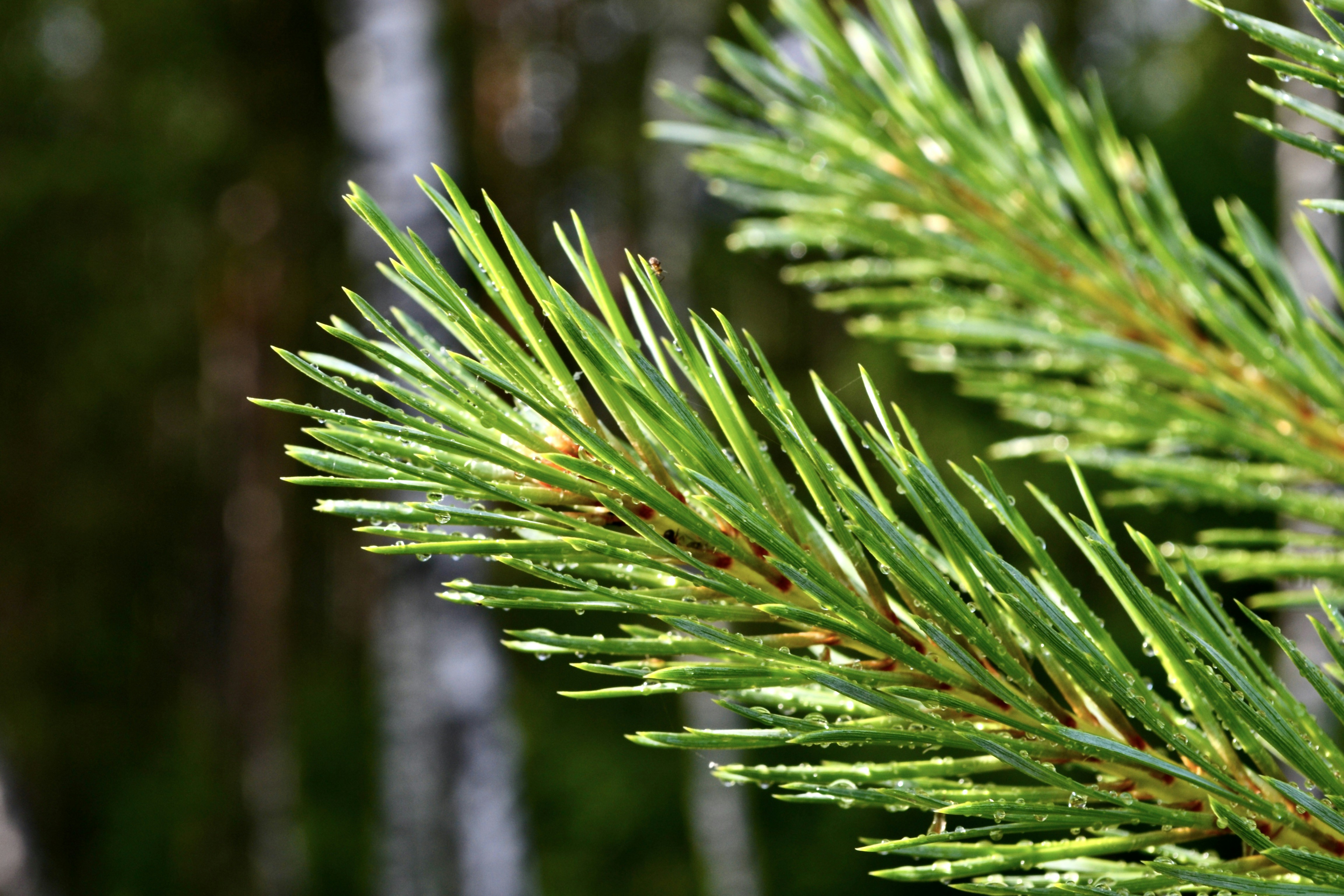 Photo by evgenslavin