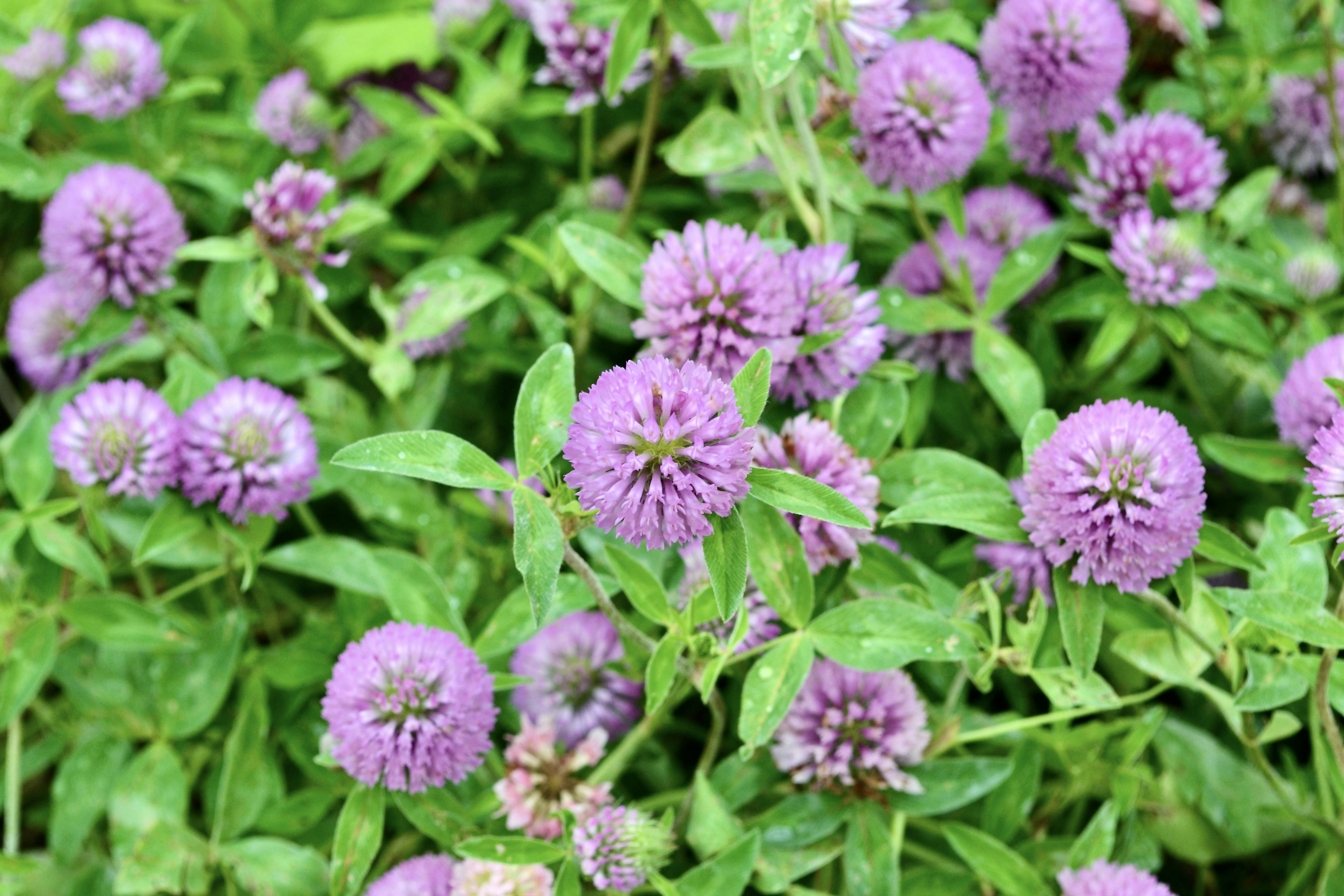 Photo by evgenslavin