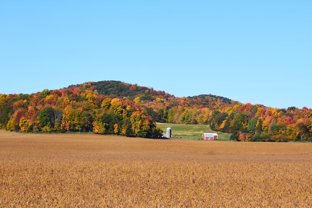 a farm in the middle of a field with a hill in the background