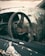 A broken car interior with a focus on the damaged steering wheel and shattered glass. The scene appears neglected and abandoned, with visible rust and debris.
