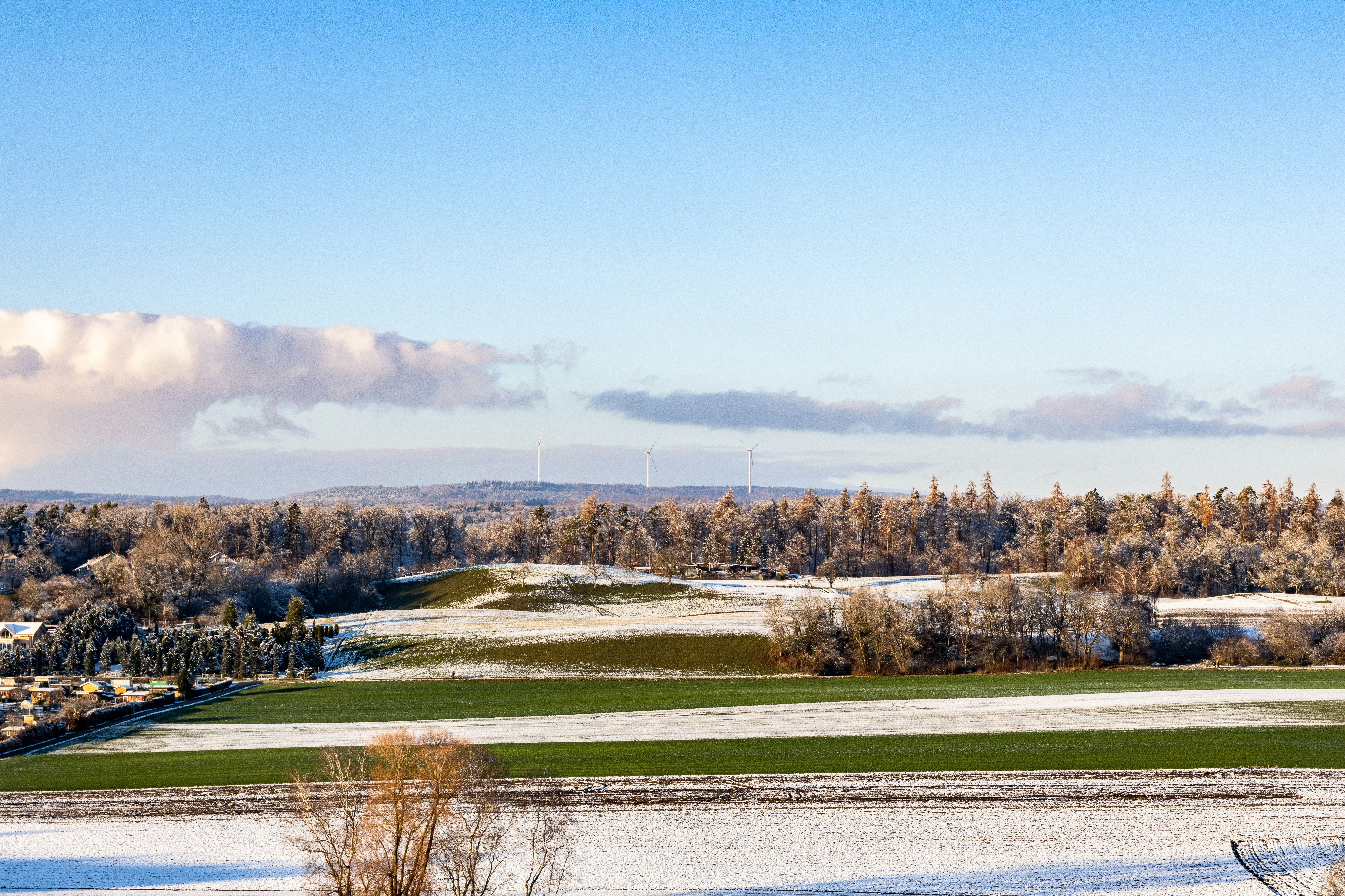 Photo by noelwangler