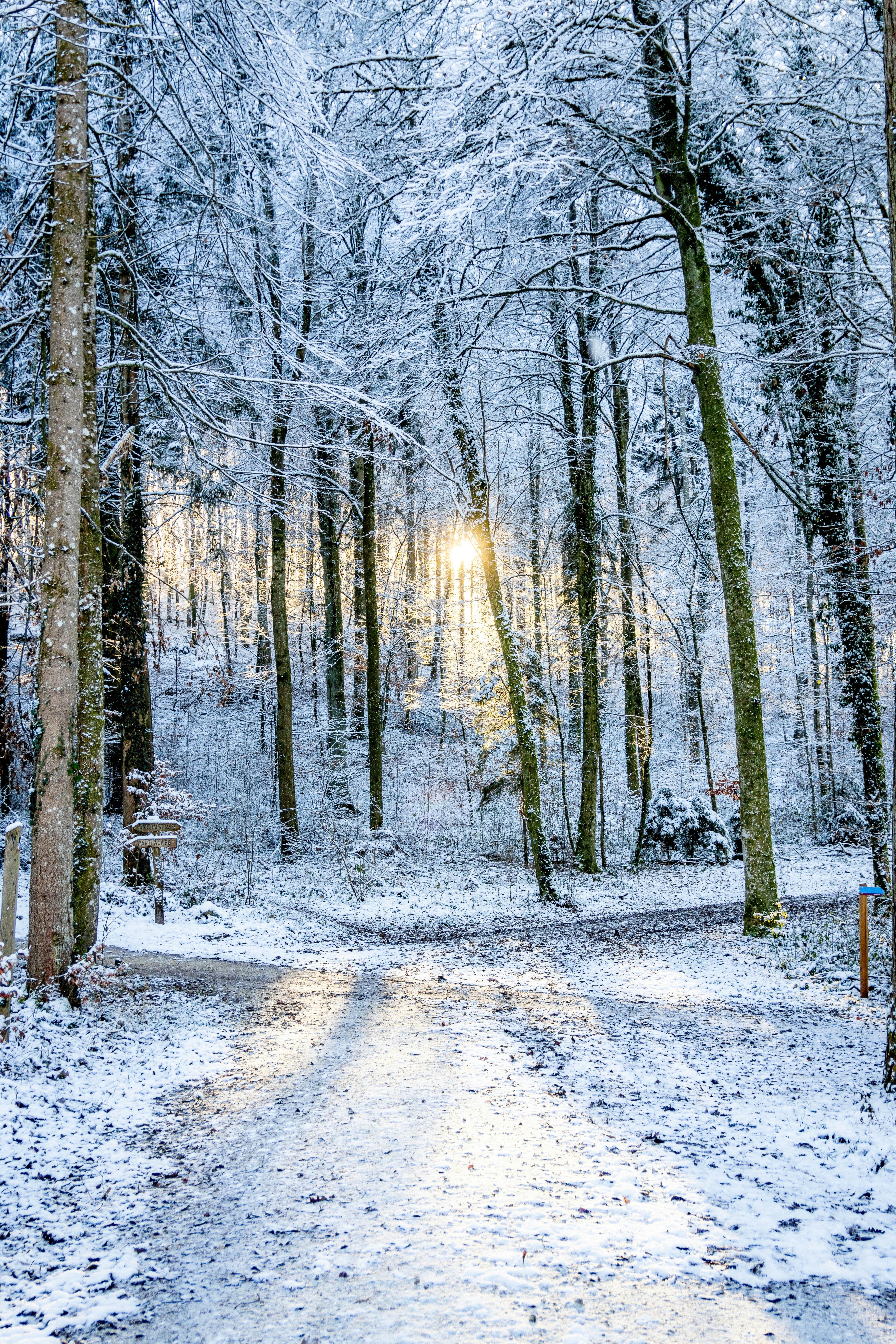 Photo by noelwangler