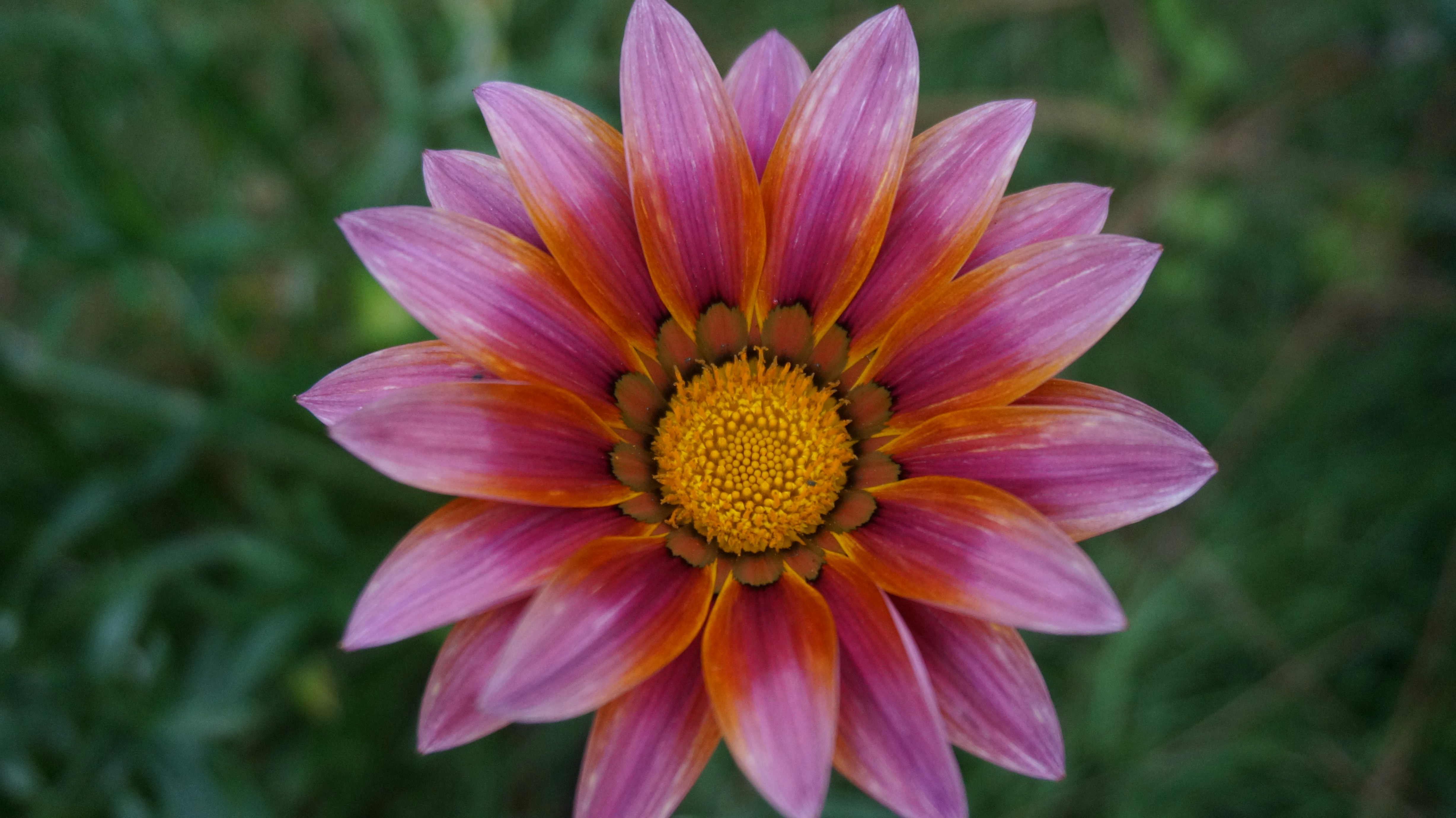 Photo by kiffiana16_