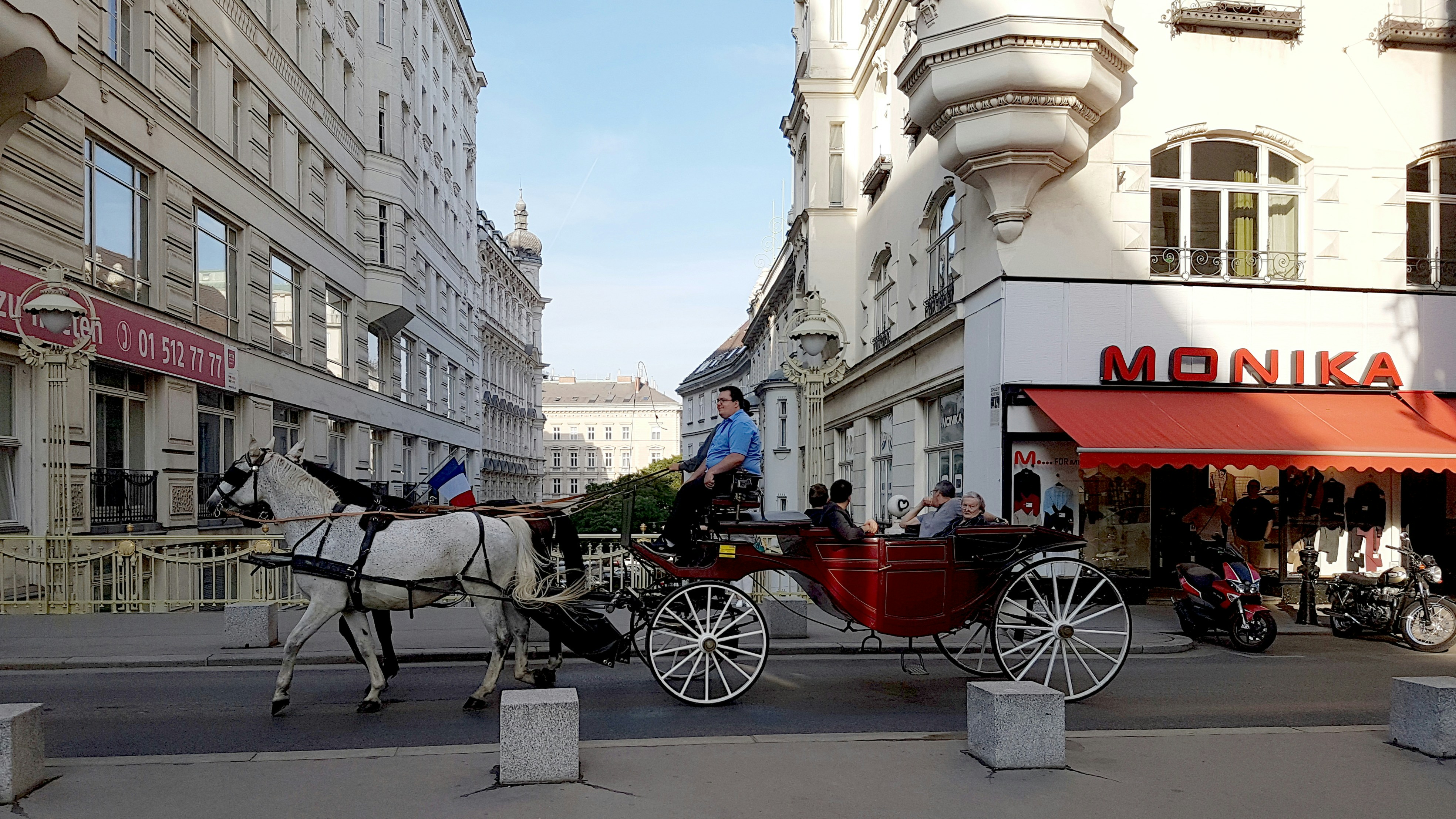 a horse drawn carriage on a city street