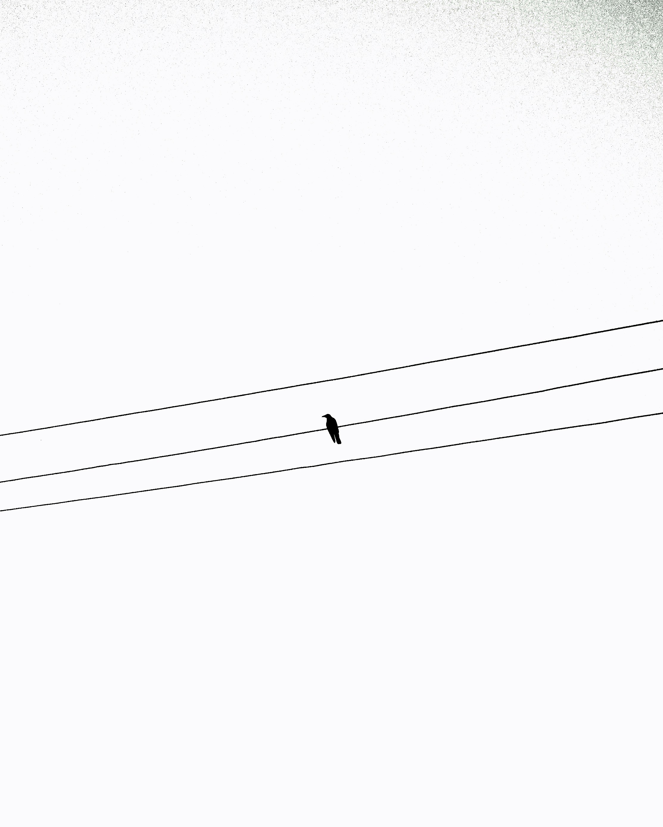 Photo by arif_zack_photography