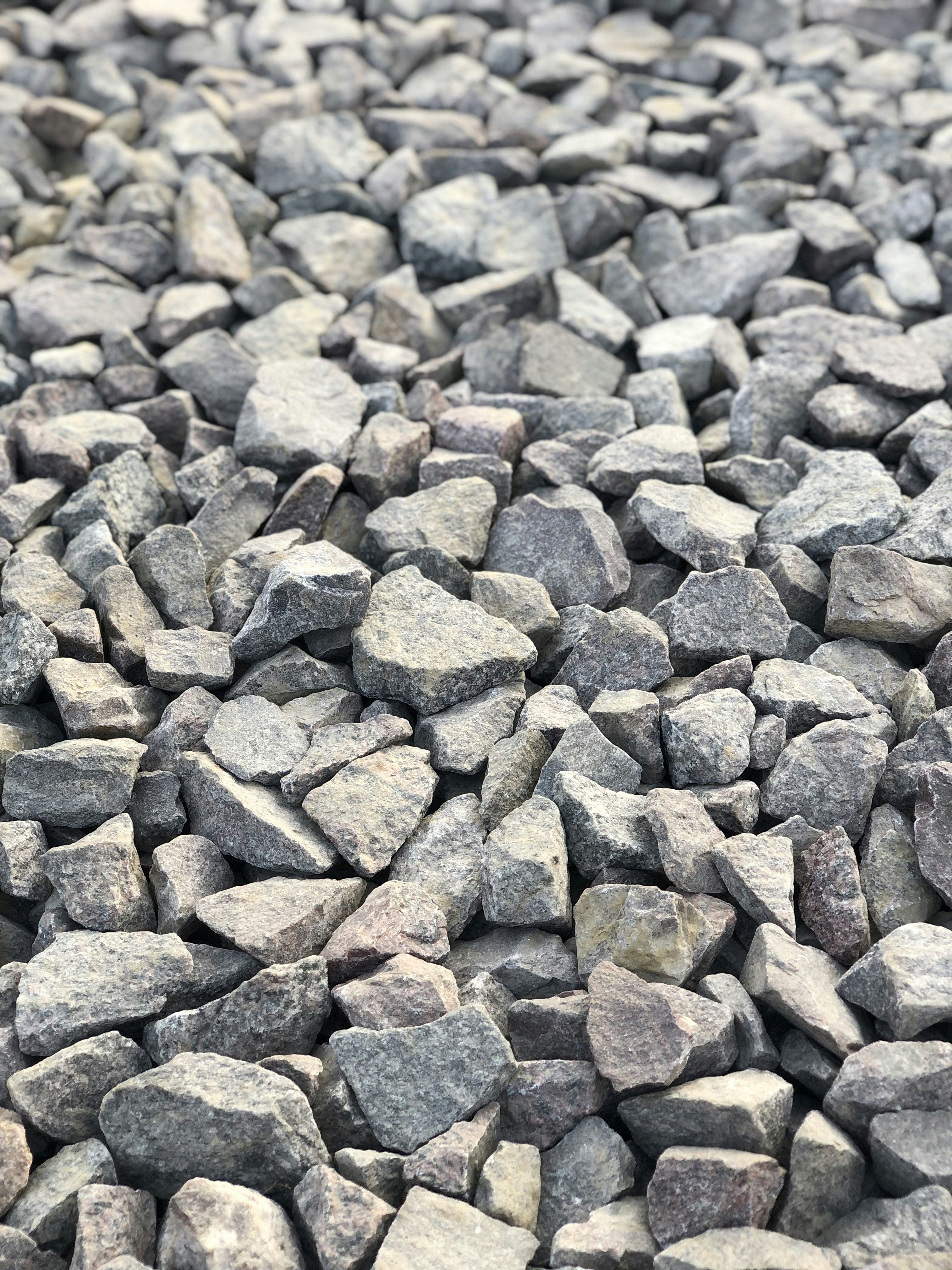 Photo by aryasphotodiary