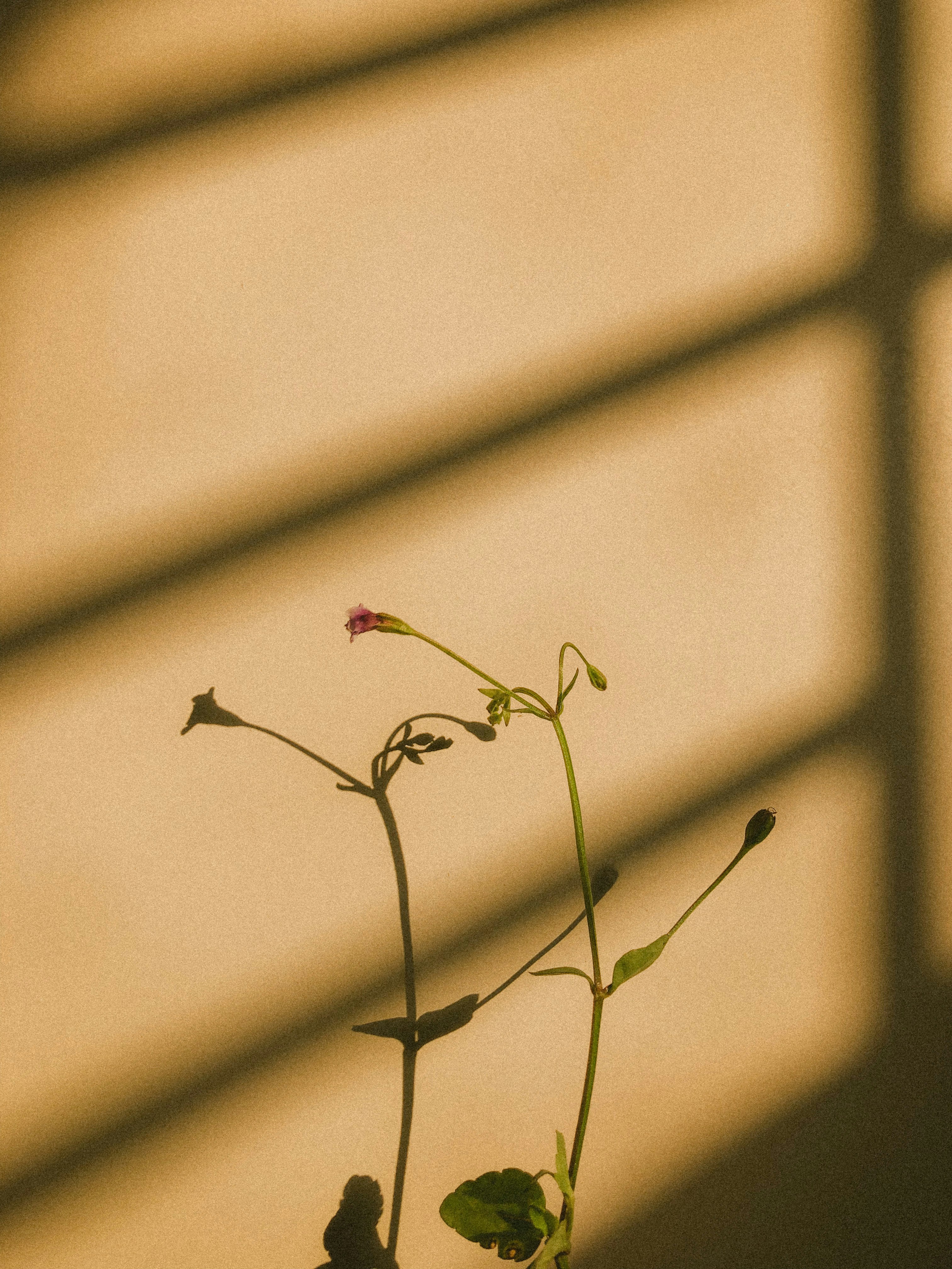 Photo by aryasphotodiary