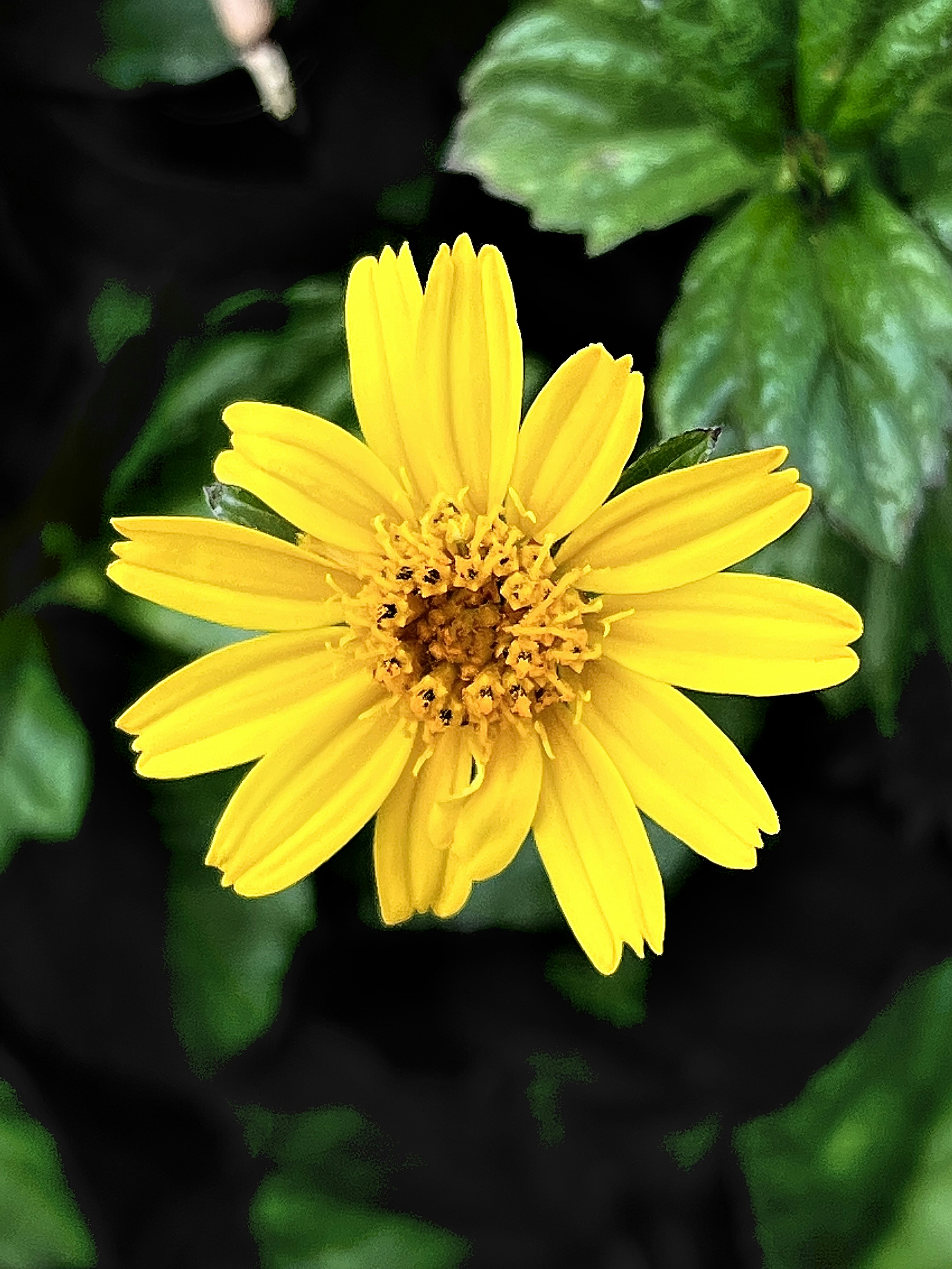 Photo by pranavpanchal