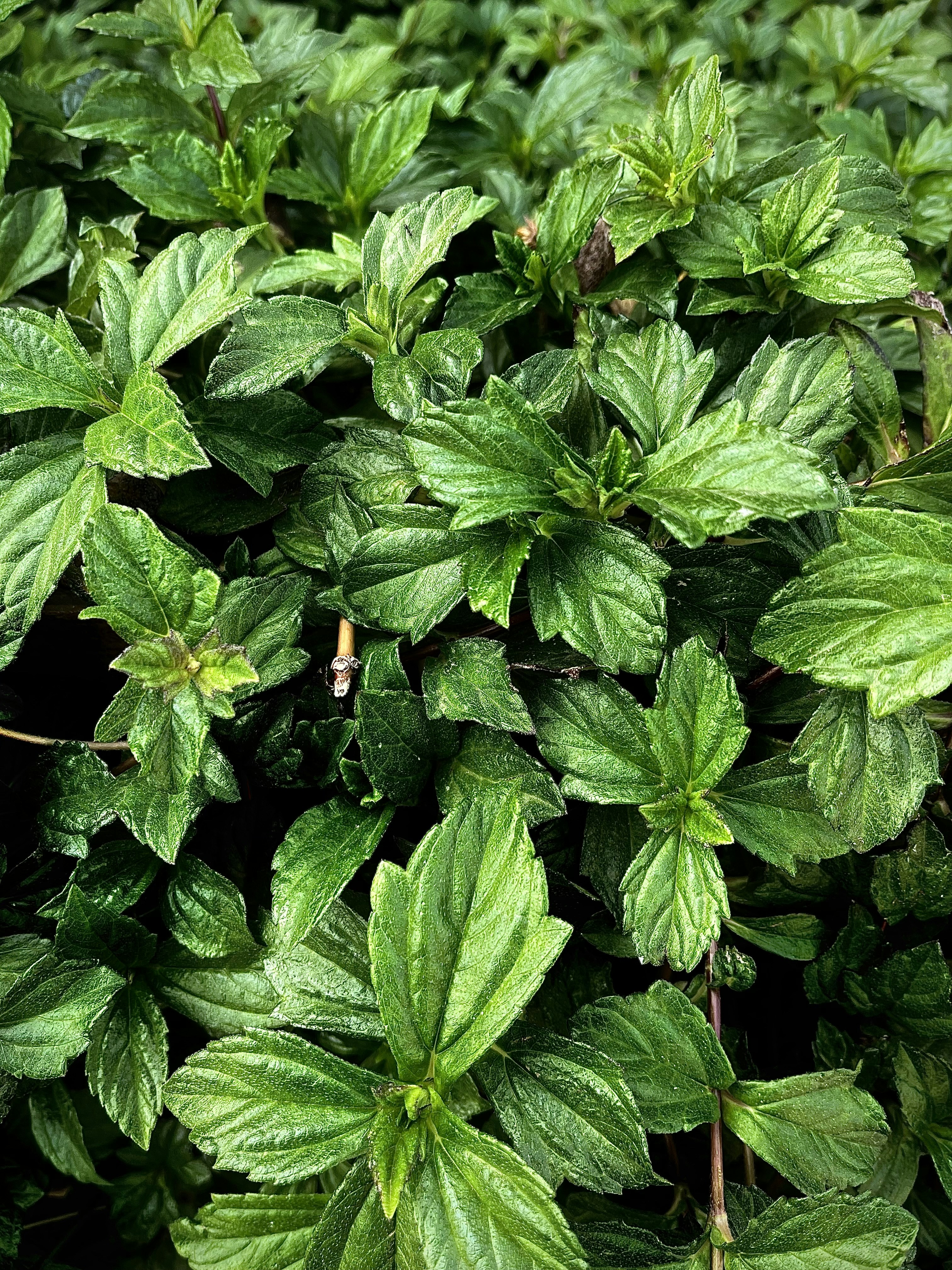 Photo by pranavpanchal