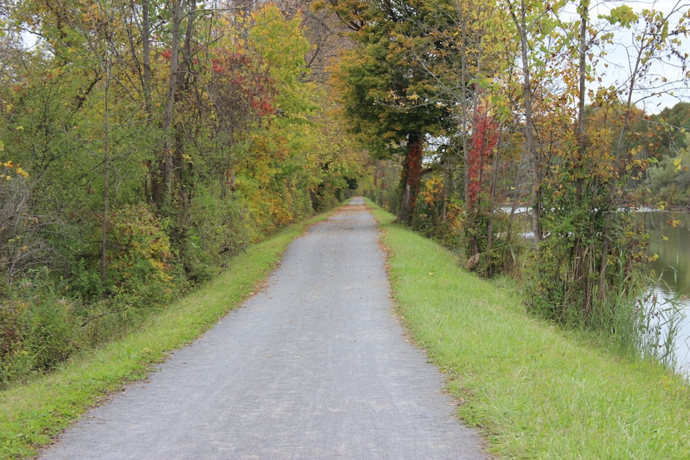 a road that is next to a body of water