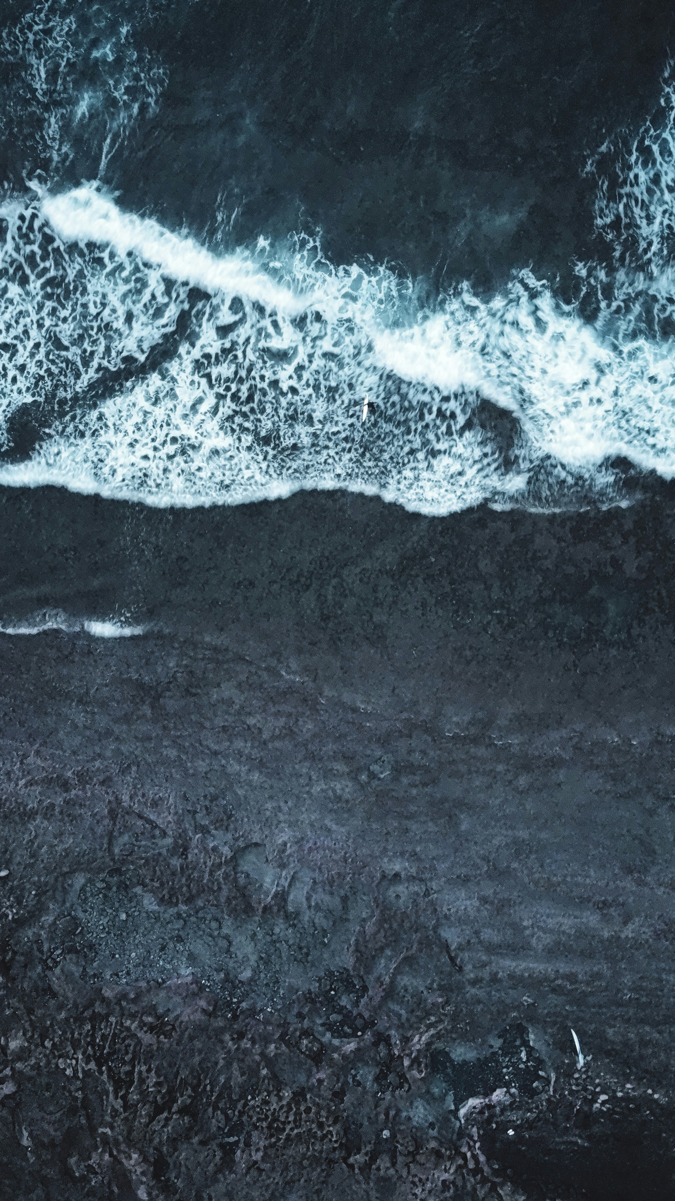 Photo by vencislavsh