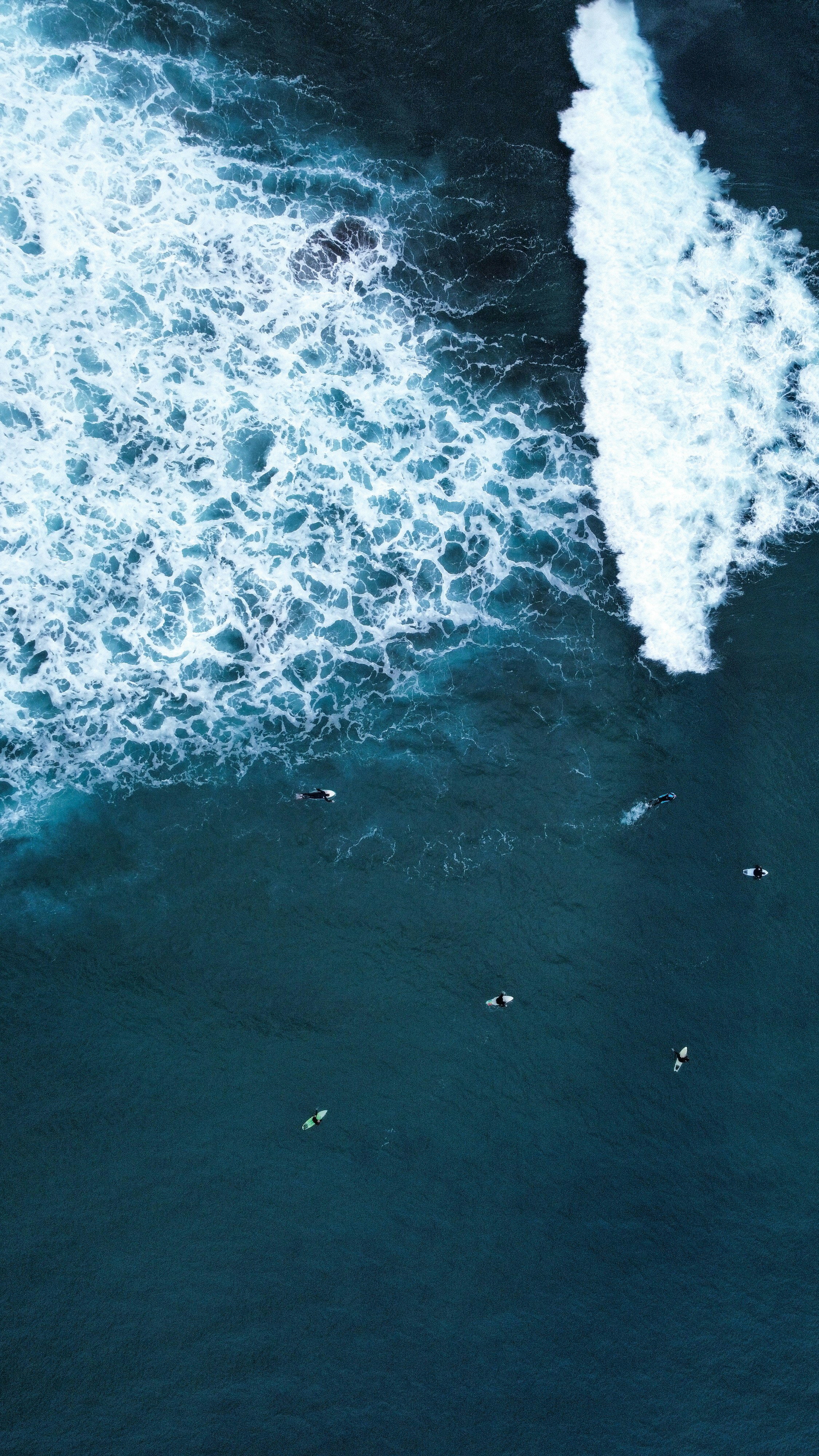 Photo by vencislavsh