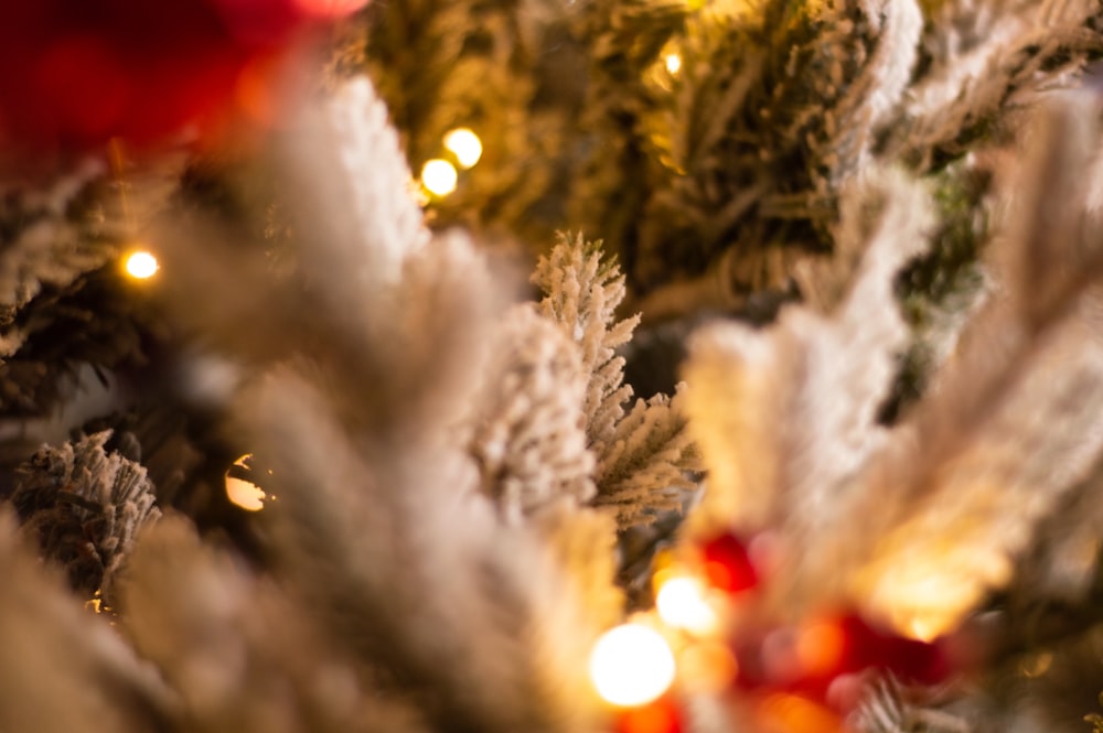 a close up of a christmas tree with lights