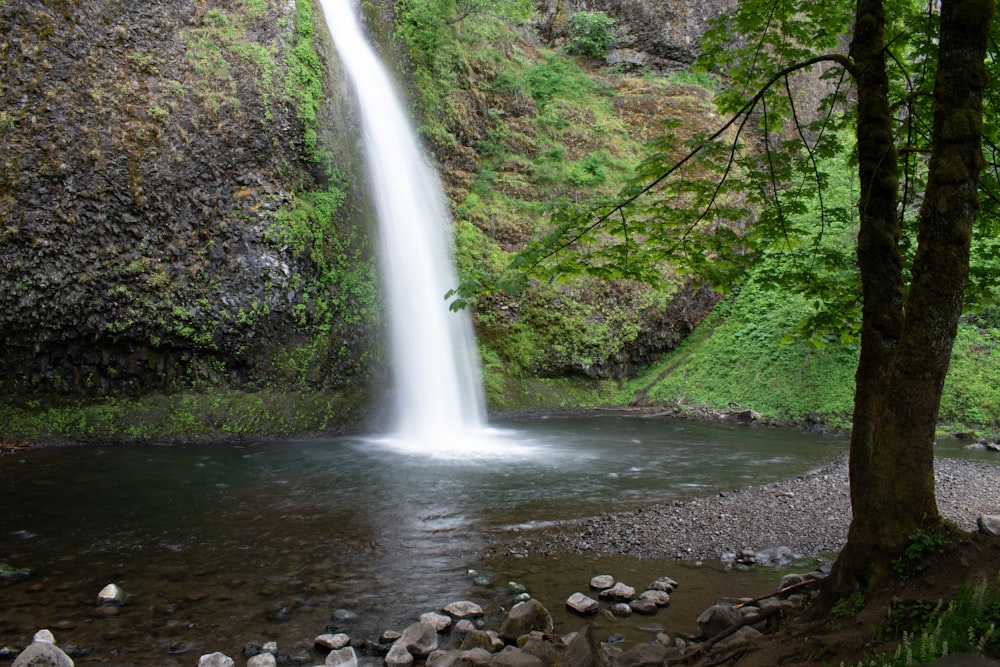 a waterfall in the middle of a forest