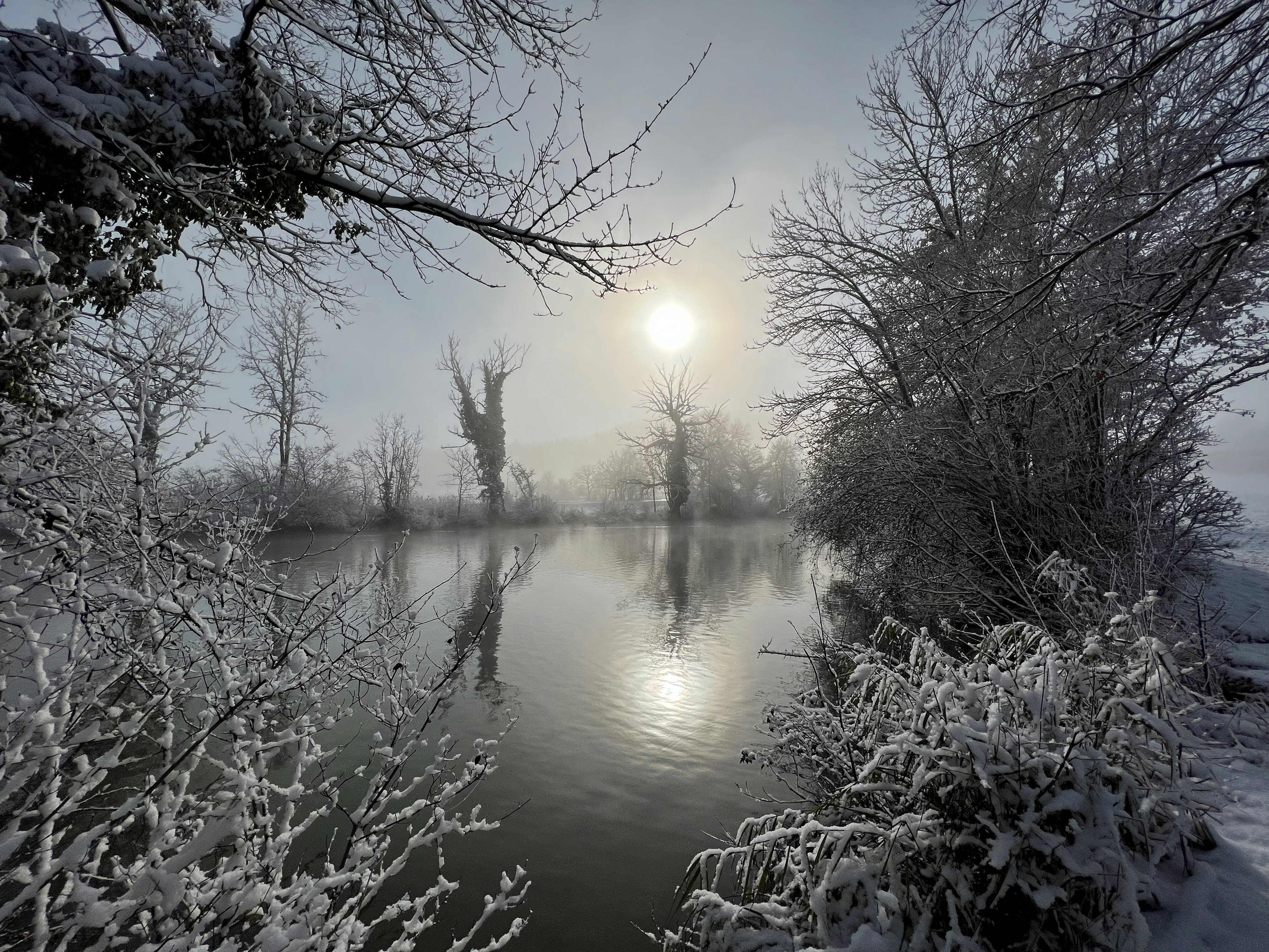 Photo by pierrewiniger