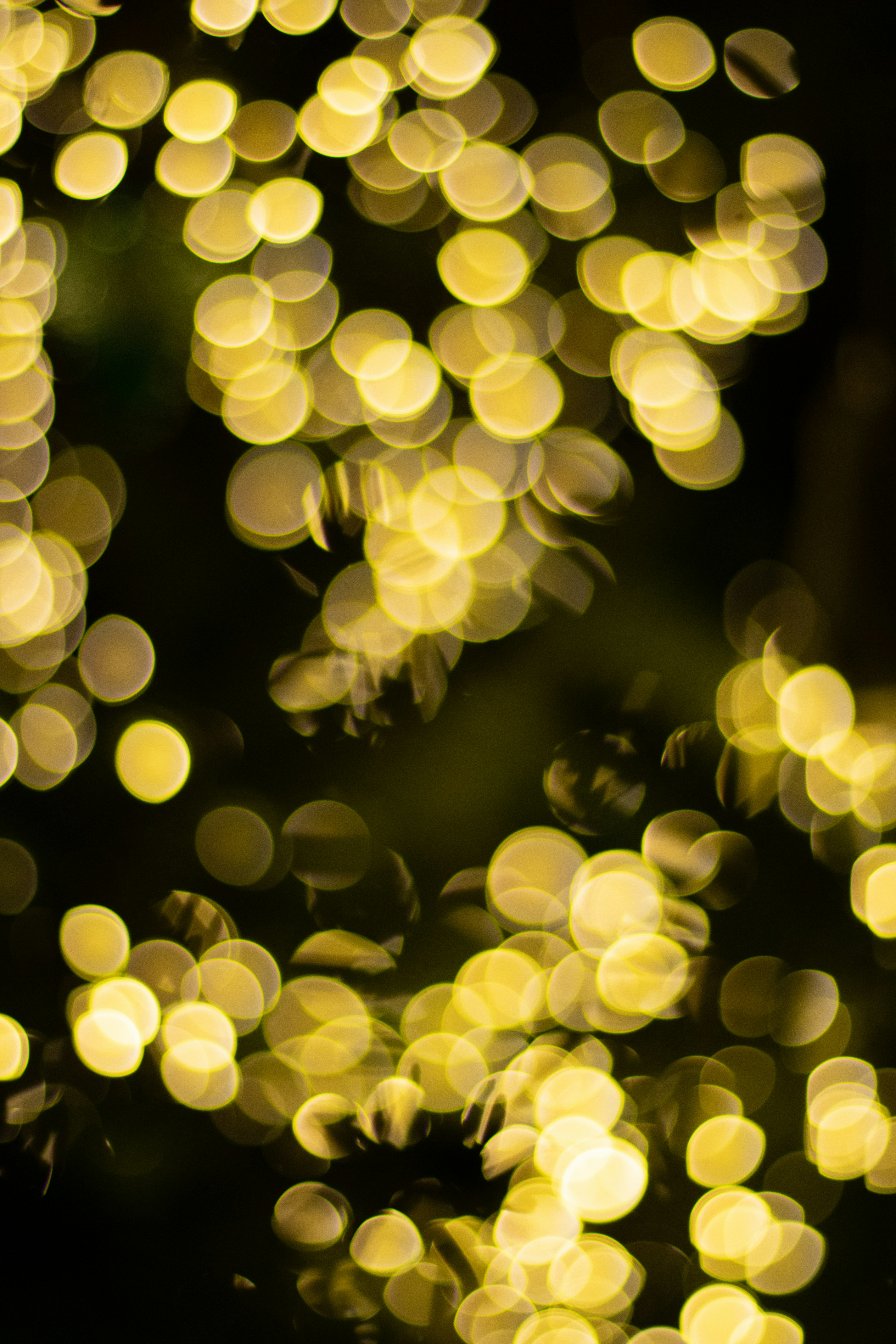 Photo by karinatrinidad