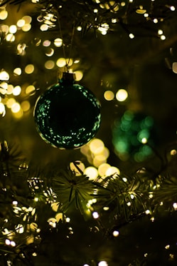 a green ornament hanging from a christmas tree