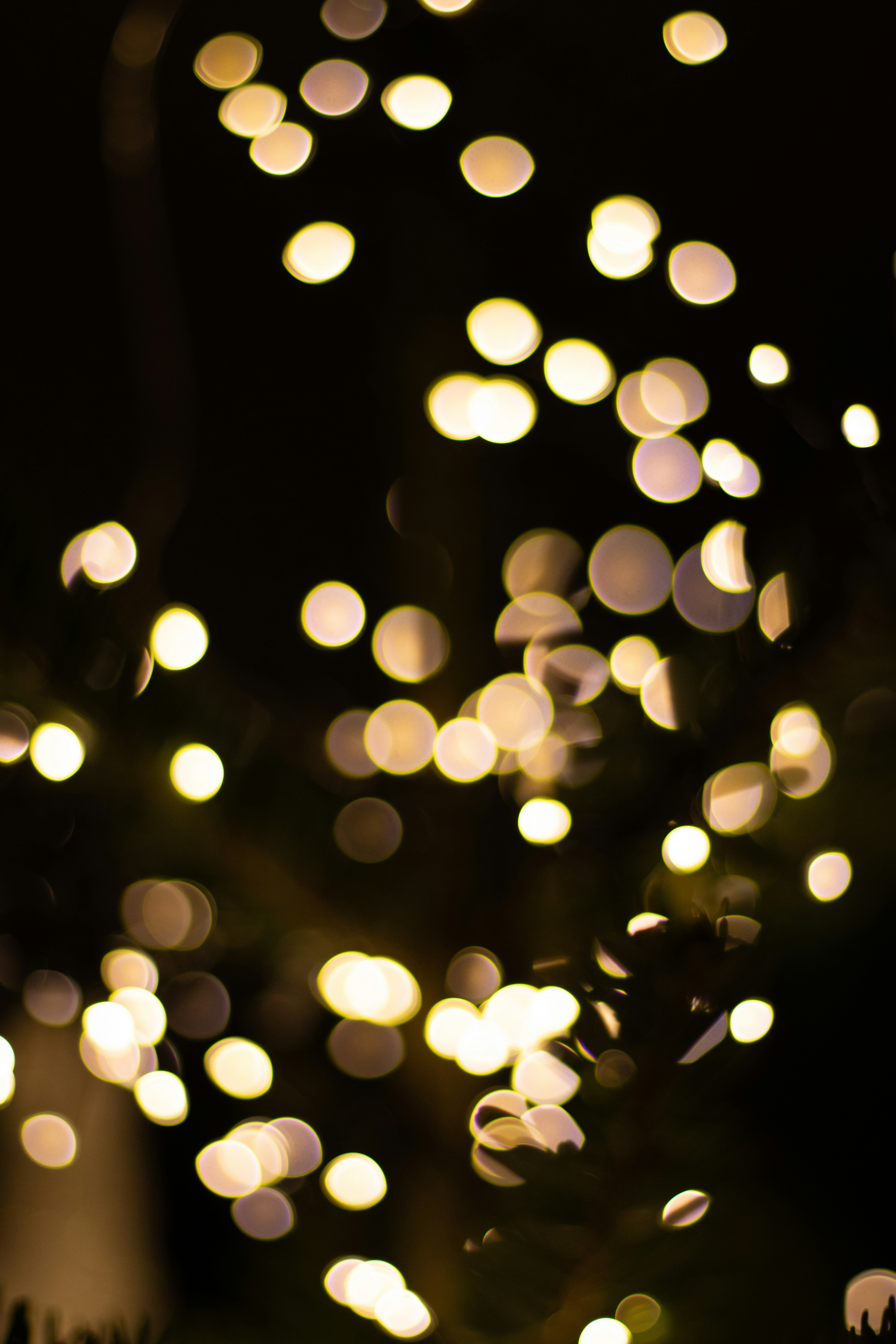 Photo by karinatrinidad