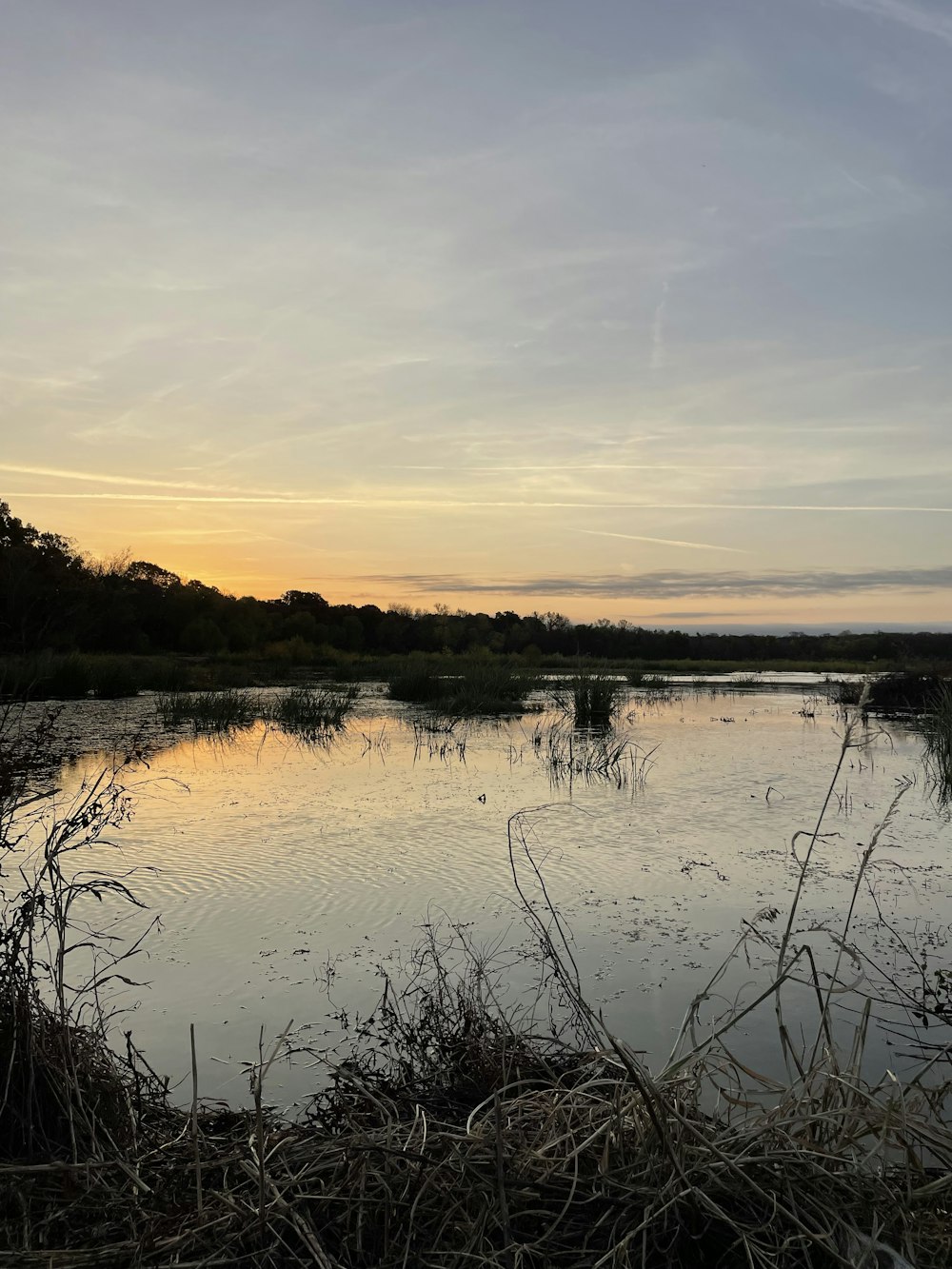 a body of water surrounded by grass and trees