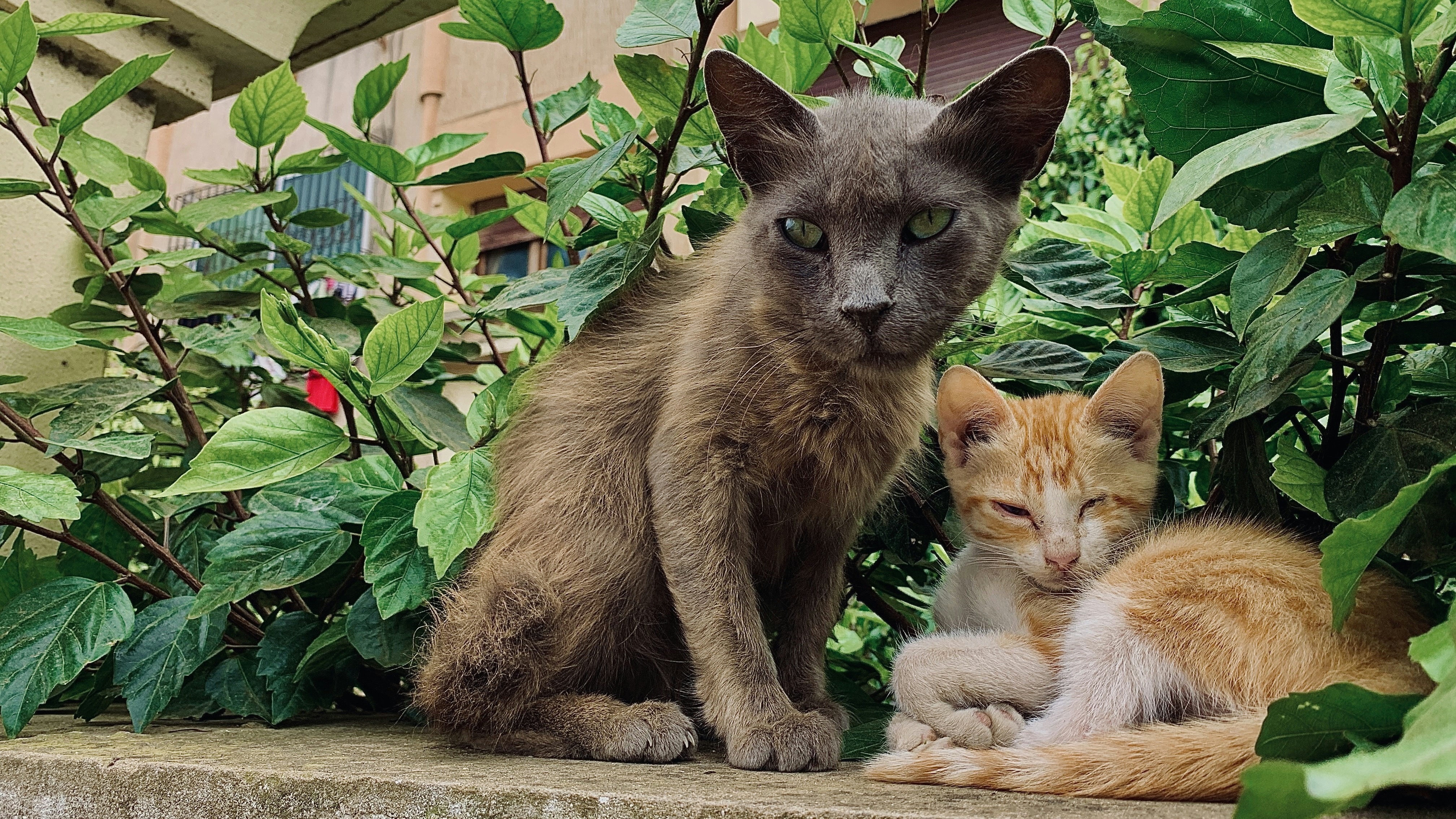 Photo by ouazizi_ayoub