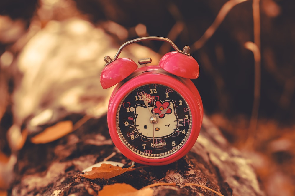 a hello kitty alarm clock sitting on top of a tree stump