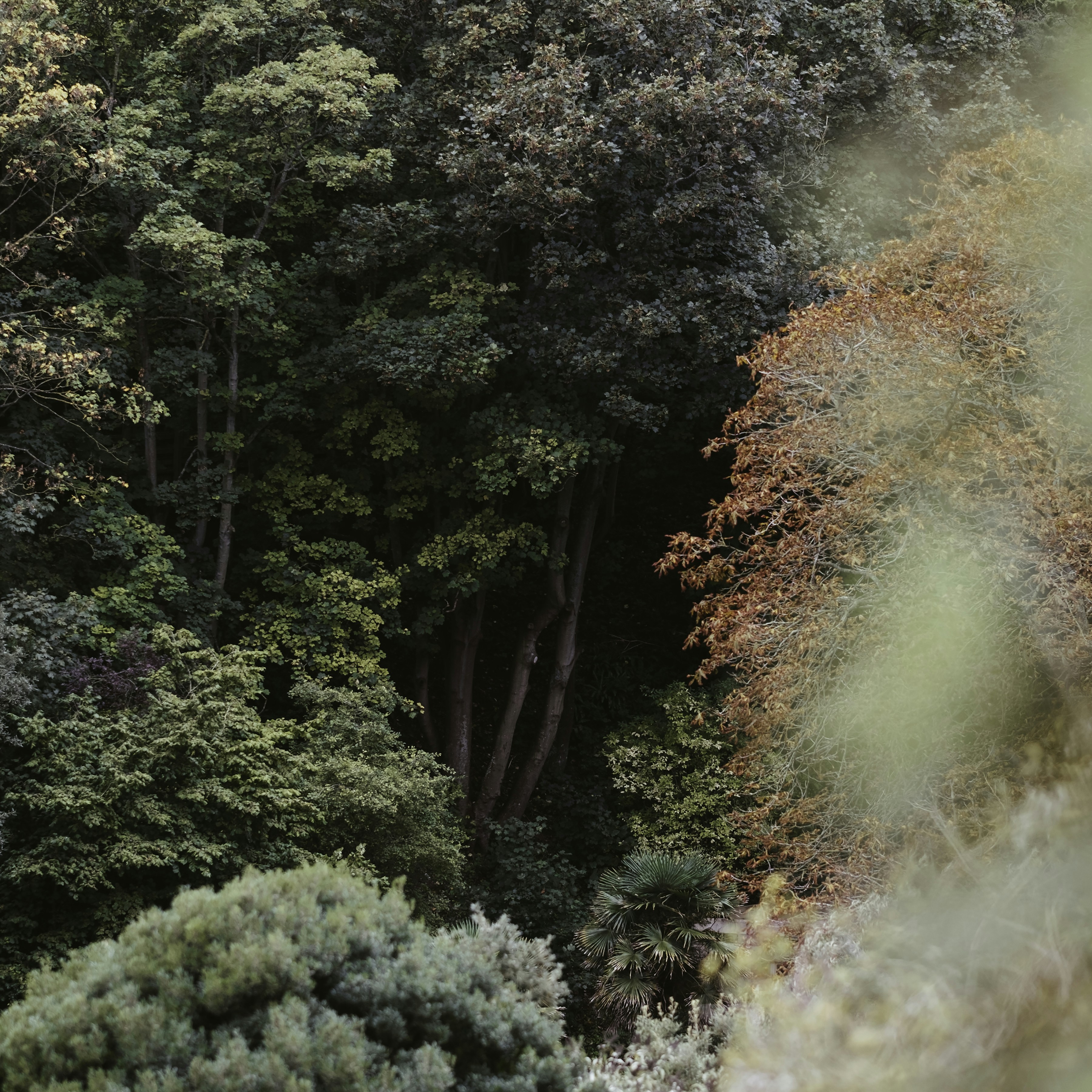 Photo by alexthomasphotos