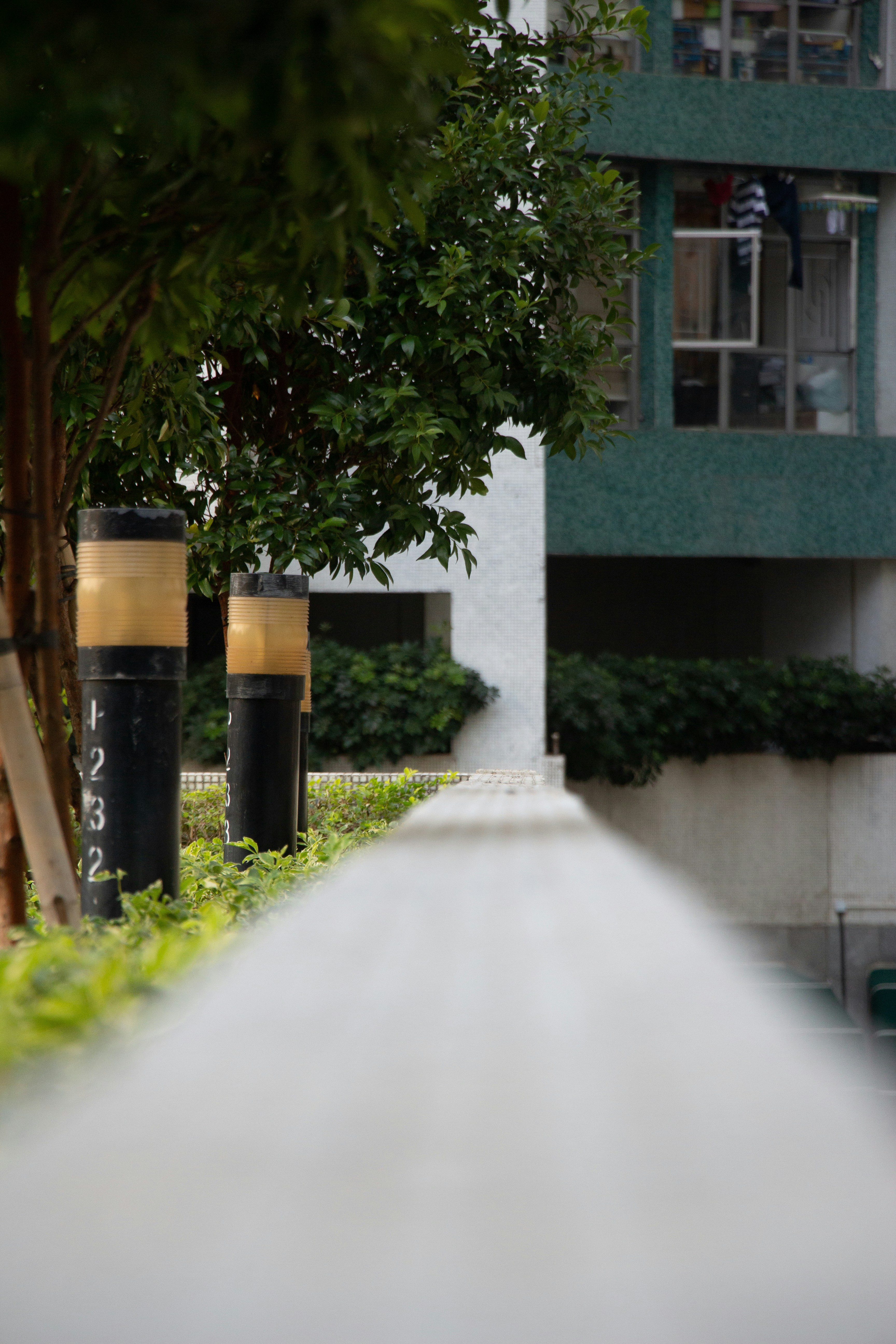 Photo by shreyaantech