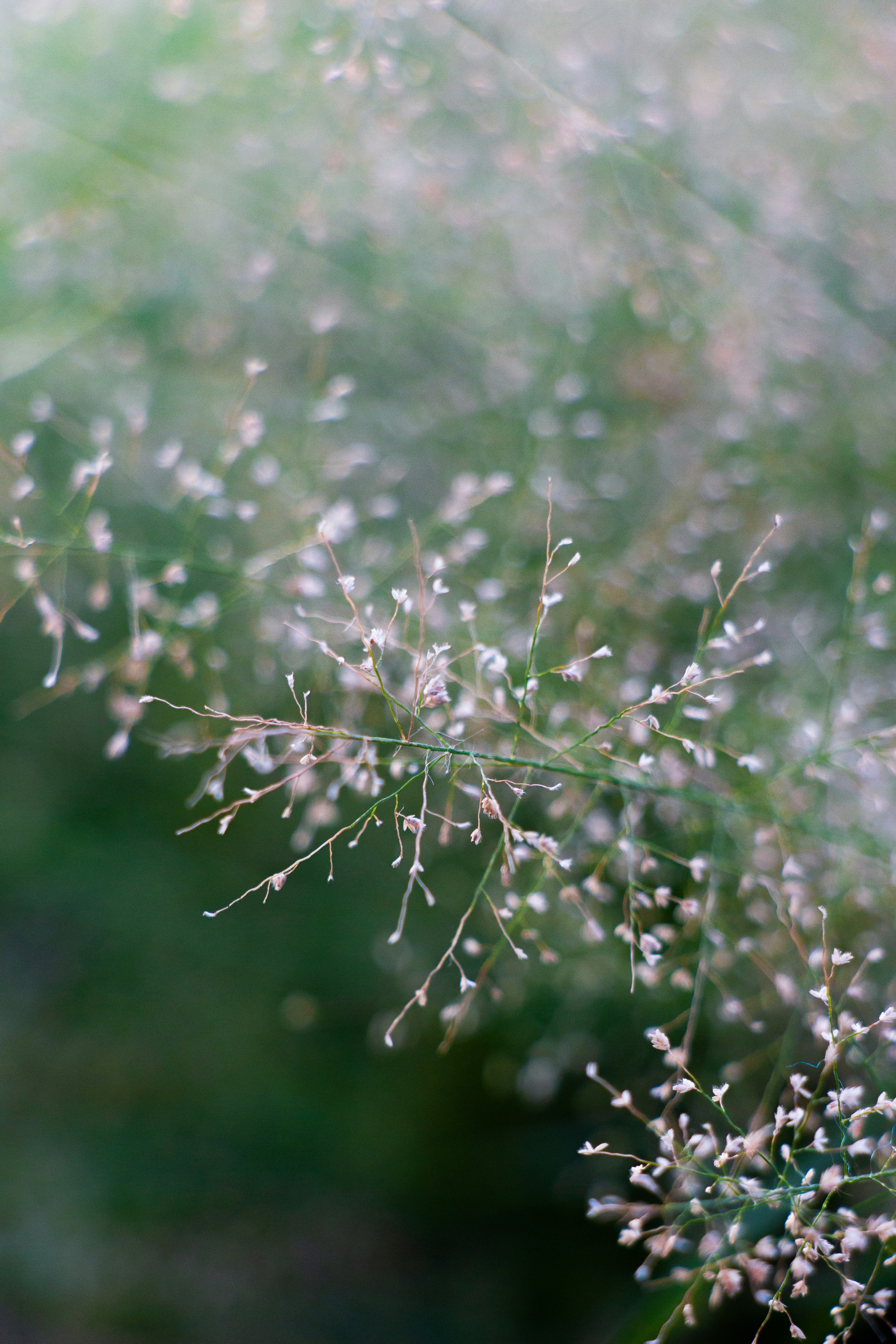 Photo by shreyaantech