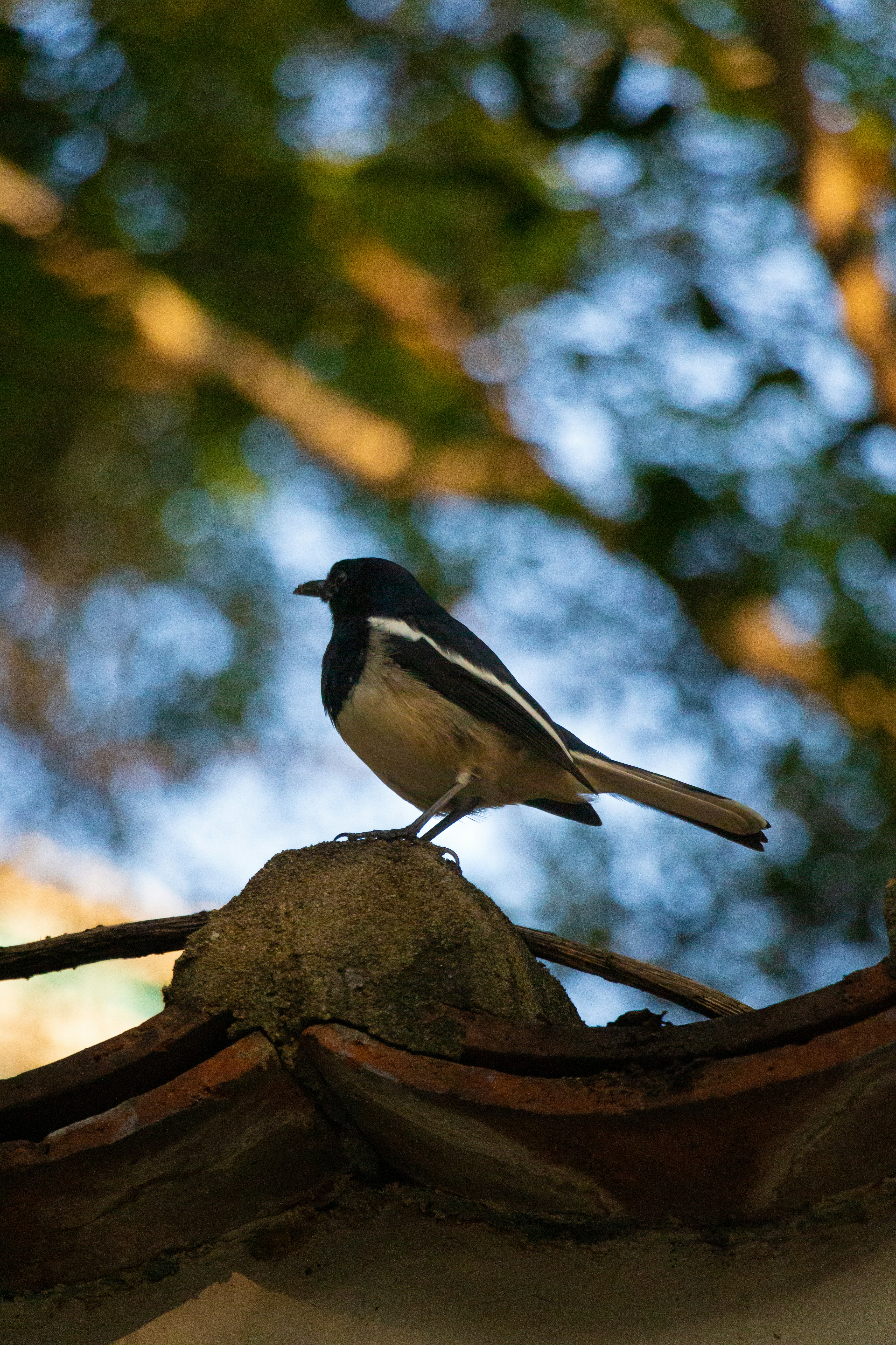 Photo by shreyaantech