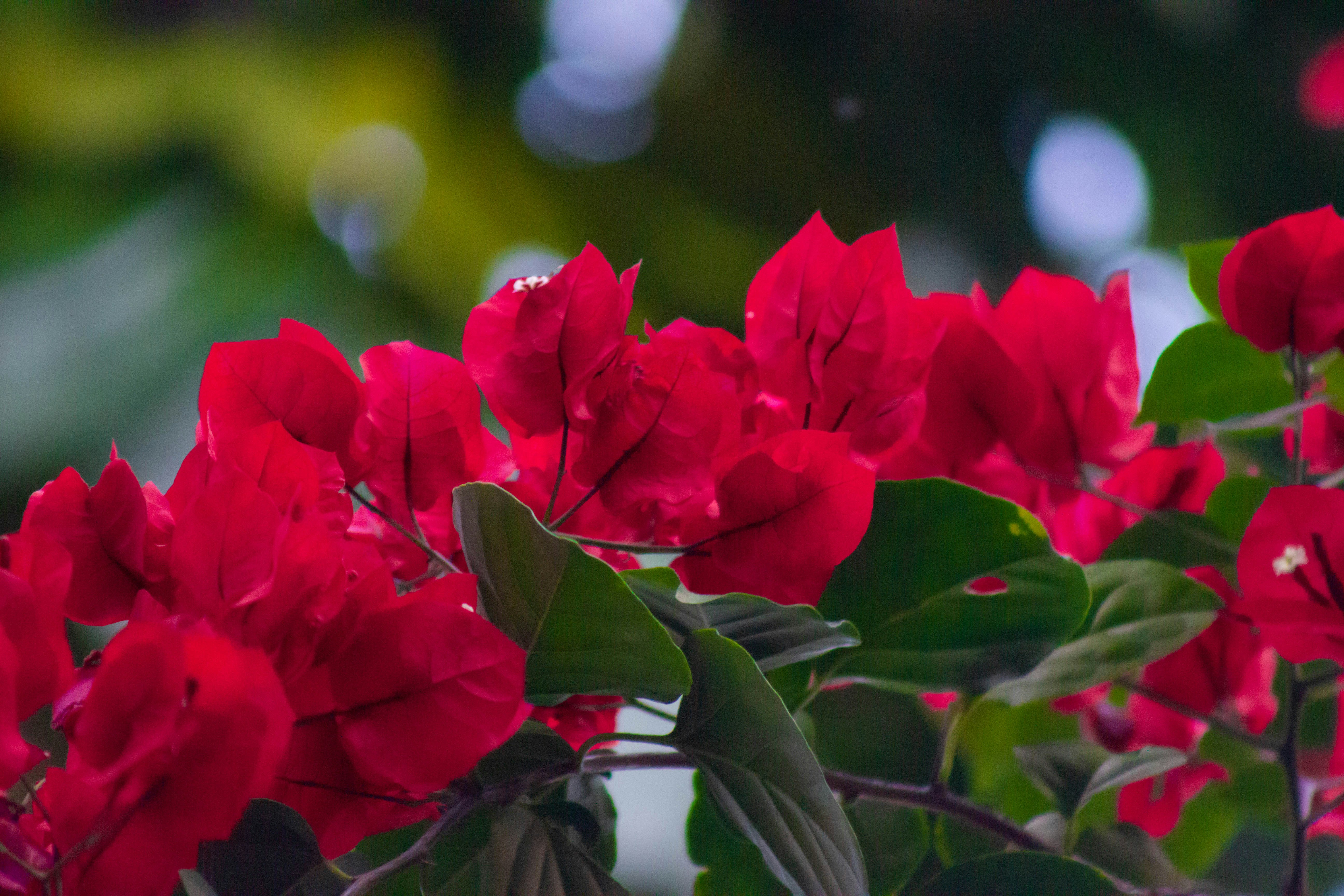 Photo by amywithacamera