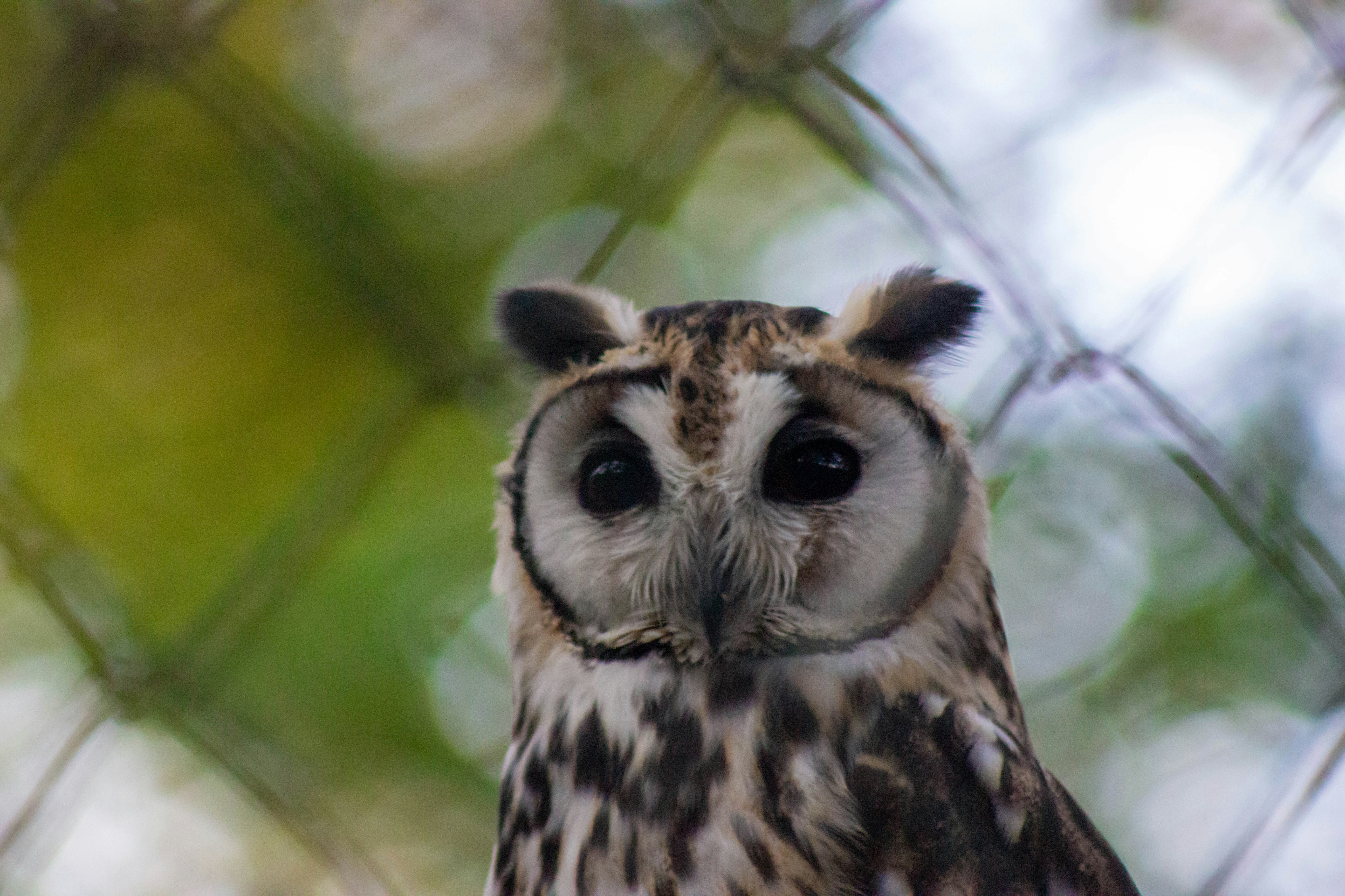 Photo by amywithacamera