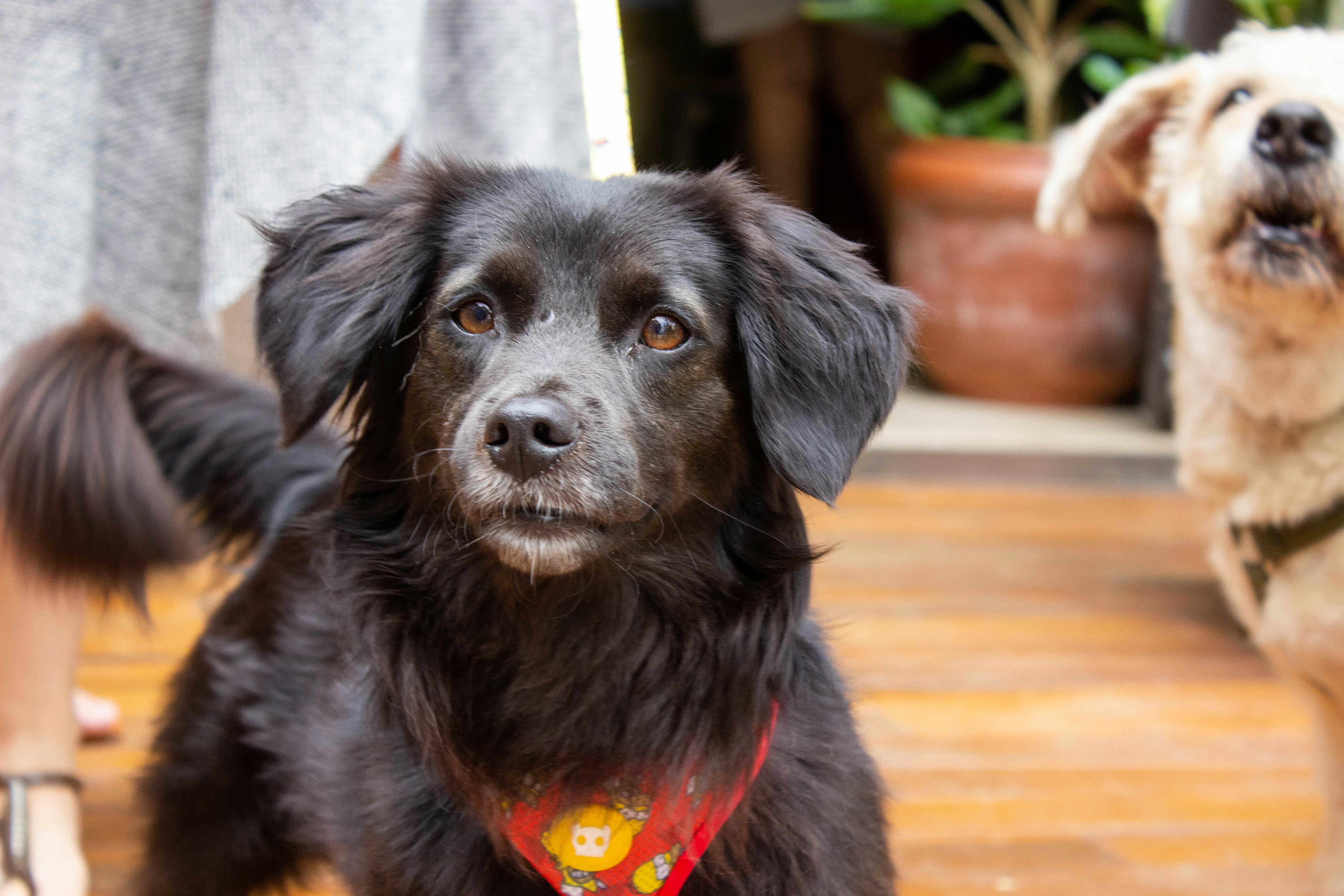 Photo by amywithacamera