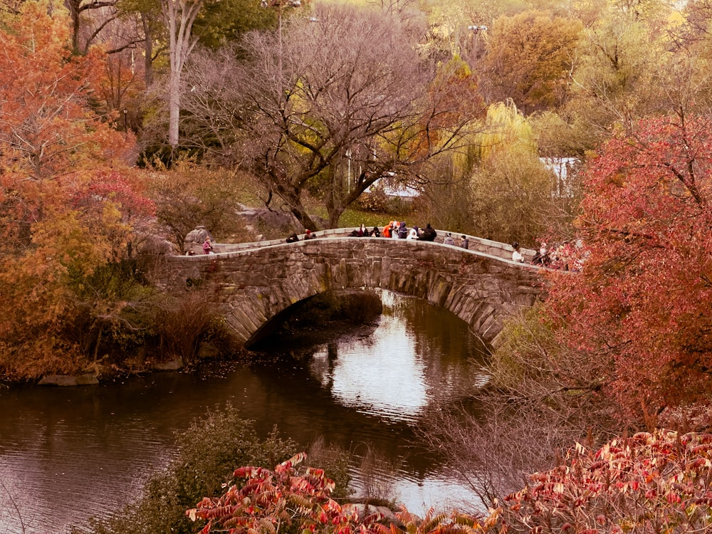 a stone bridge over a river surrounded by trees