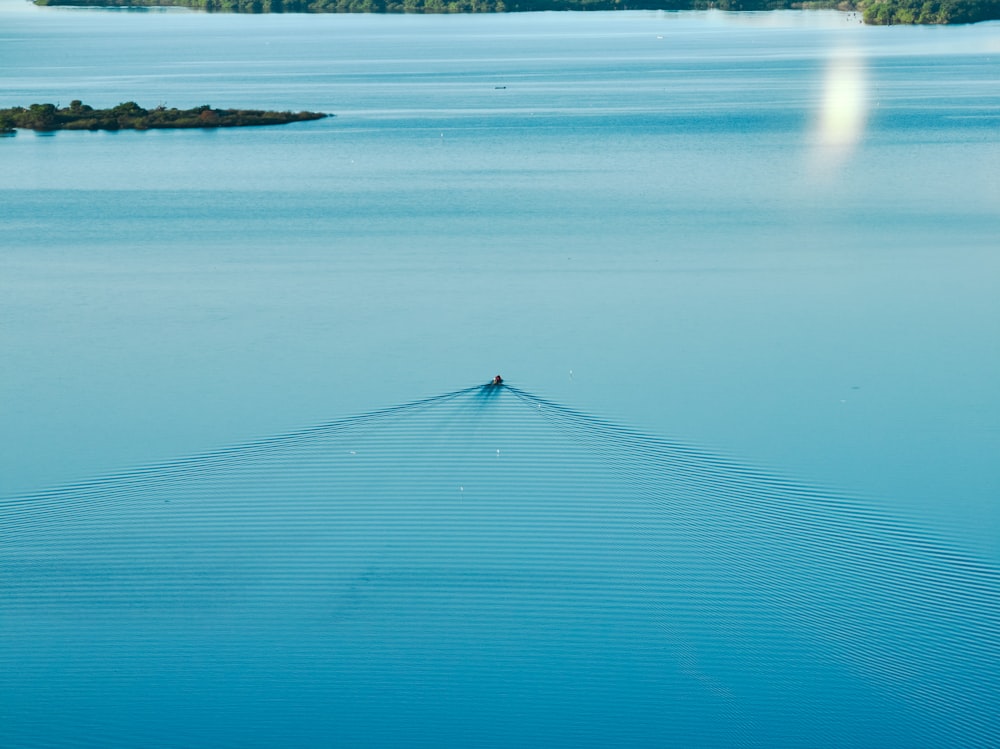 a large body of water with trees in the background