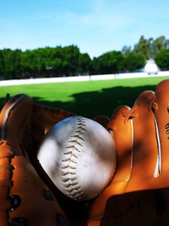 A close-up view of a baseball nestled in a brown leather glove. The background shows a green, grassy field with trees and a clear blue sky.