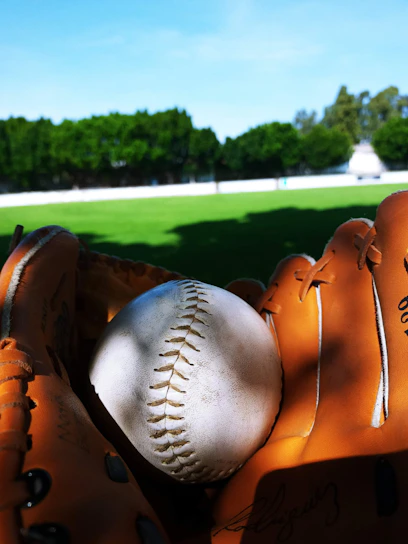 Close-up of a trendy baseball glove resting on fresh green grass under bright sunlight